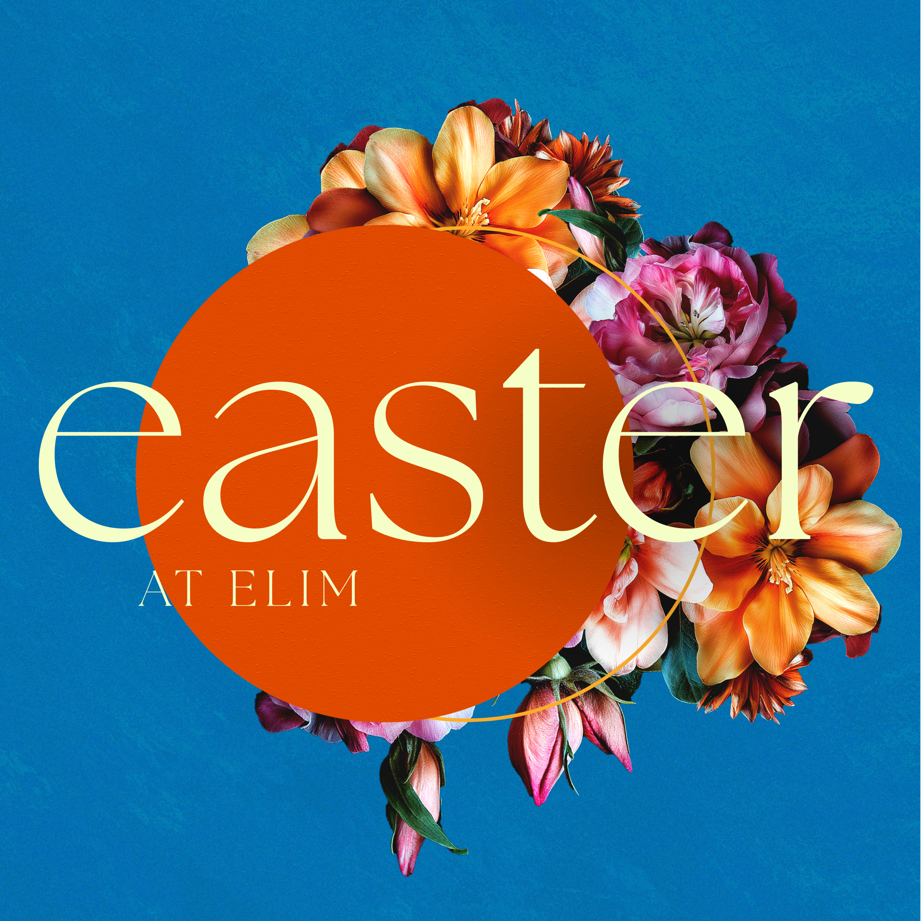Elim International Church