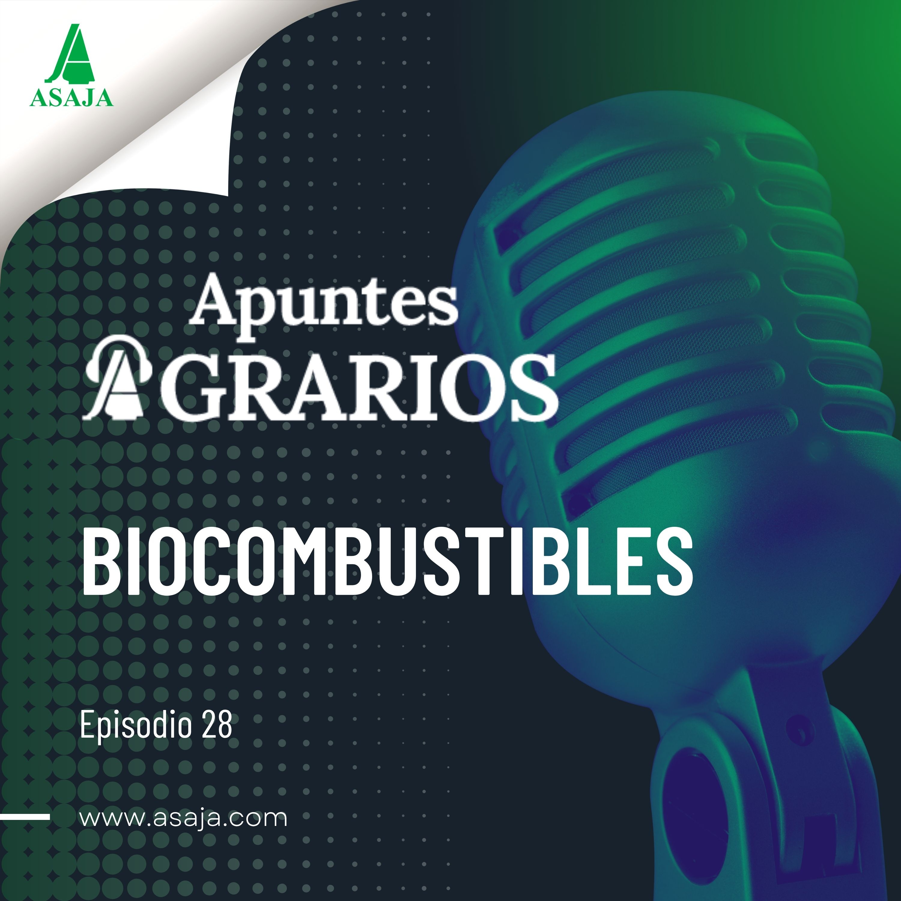Del campo al depósito: La energía que cultivan los agricultores · Biocombustibles · Apuntes Agrarios - EP 28 episode artwork