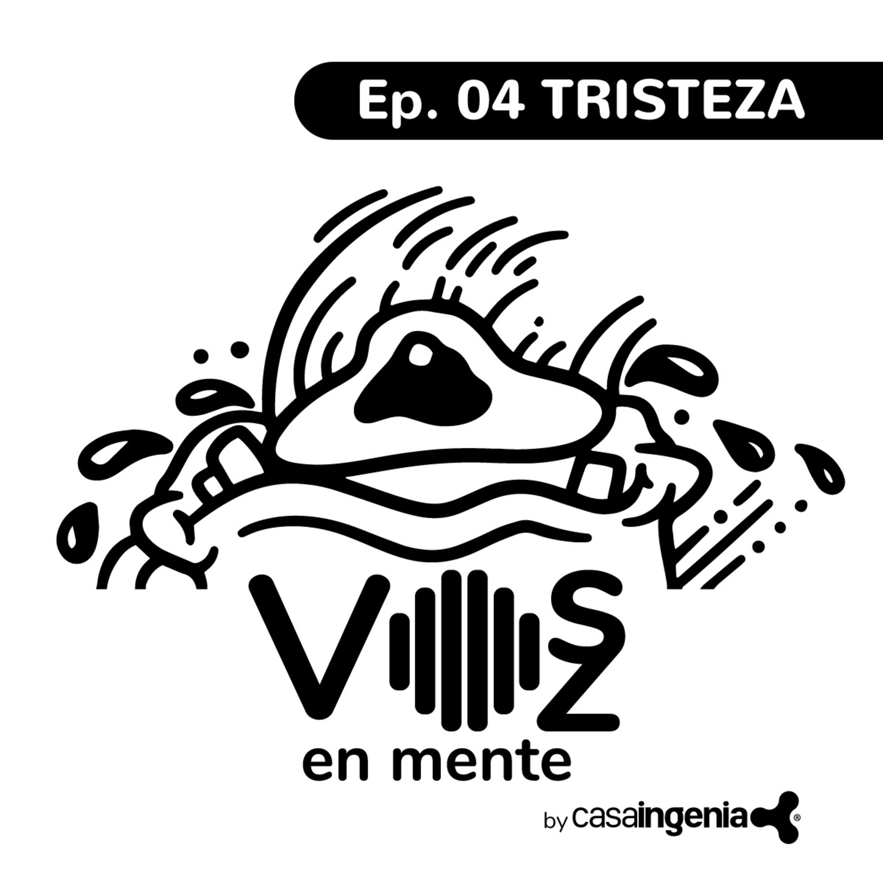 VOSZ EN MENTE By Casaingenia