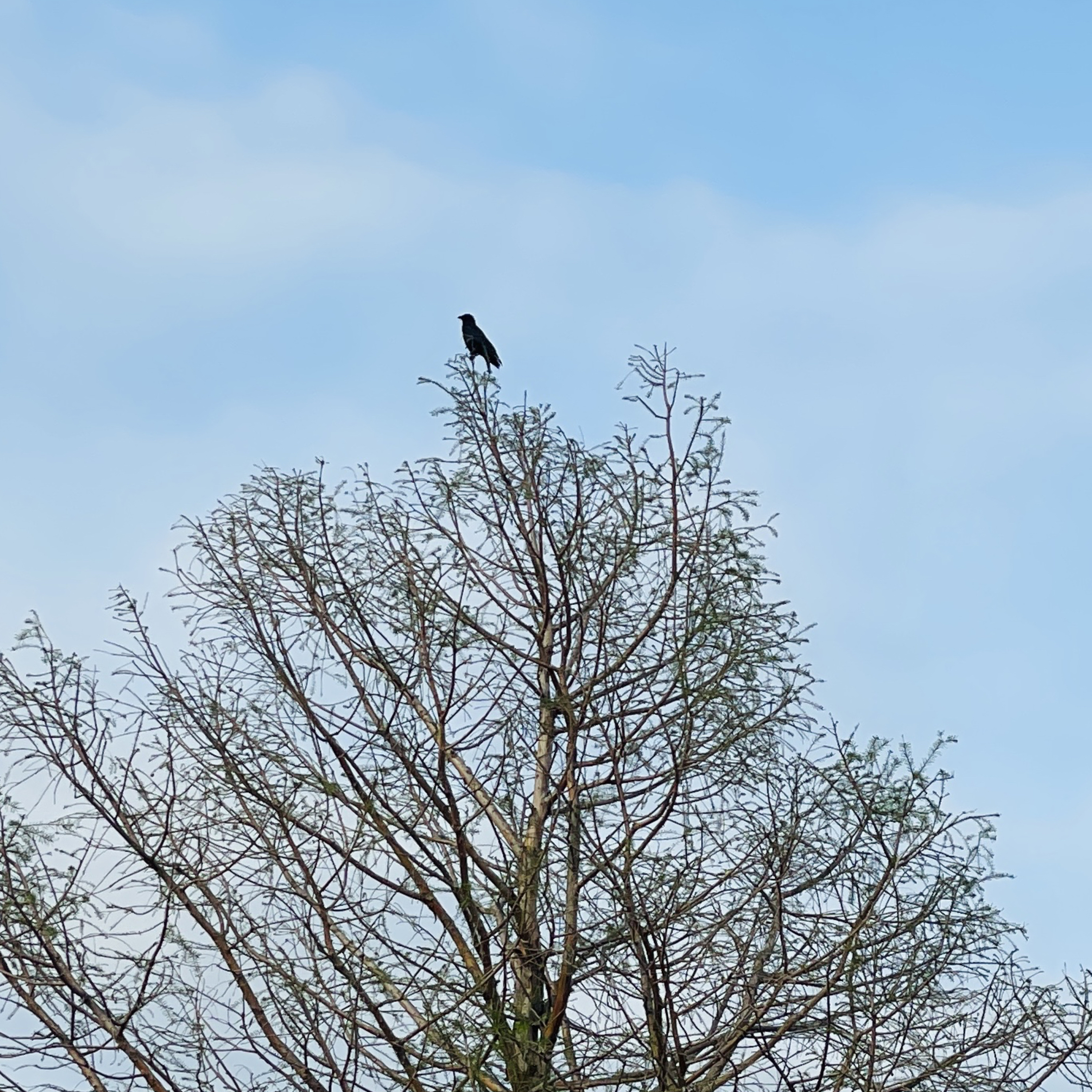 storytime with Kabir and mama