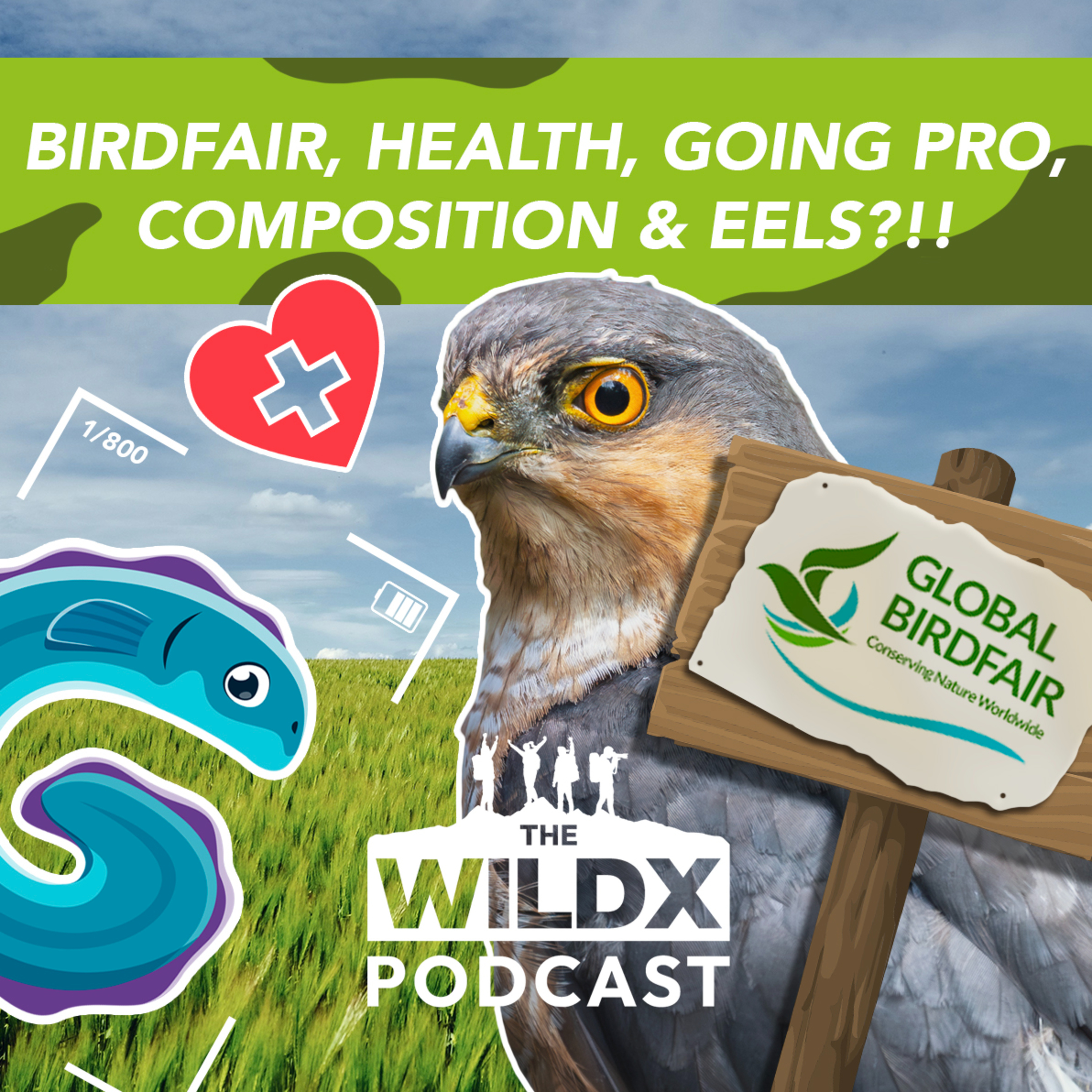 The WildX Podcast