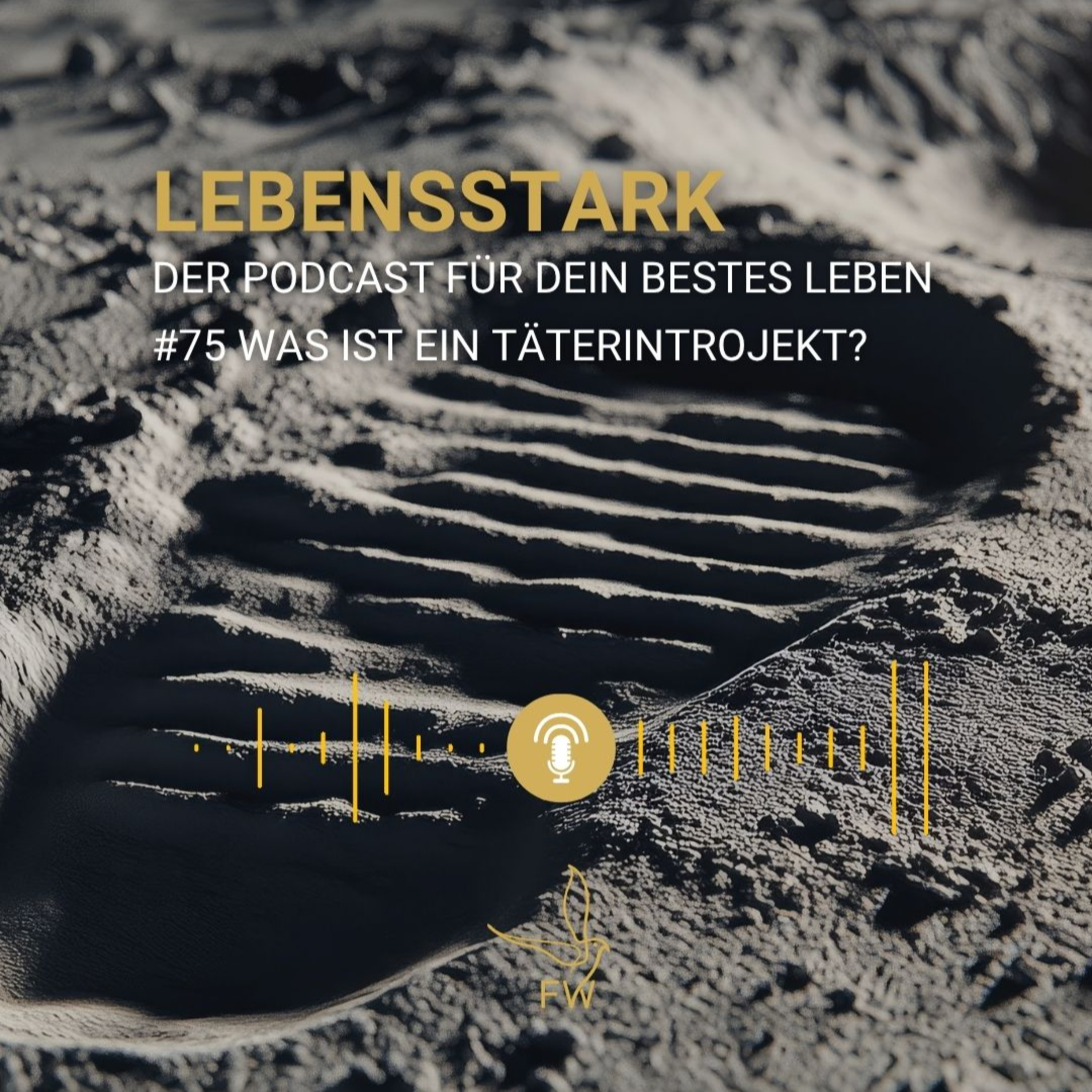 #75: Was ist ein Täterintrojekt episode artwork
