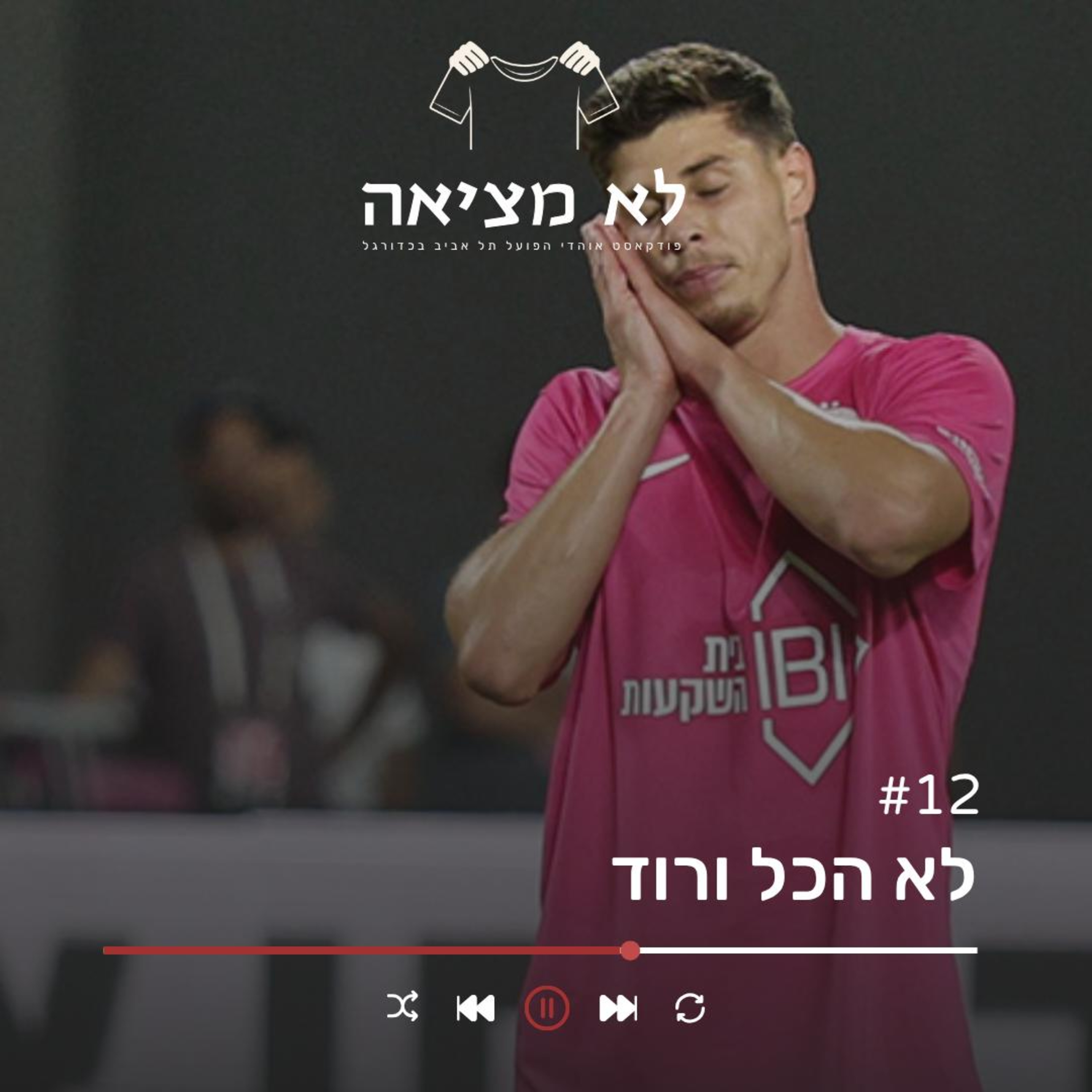 לא הכל ורוד | לא מציאה, פרק 12