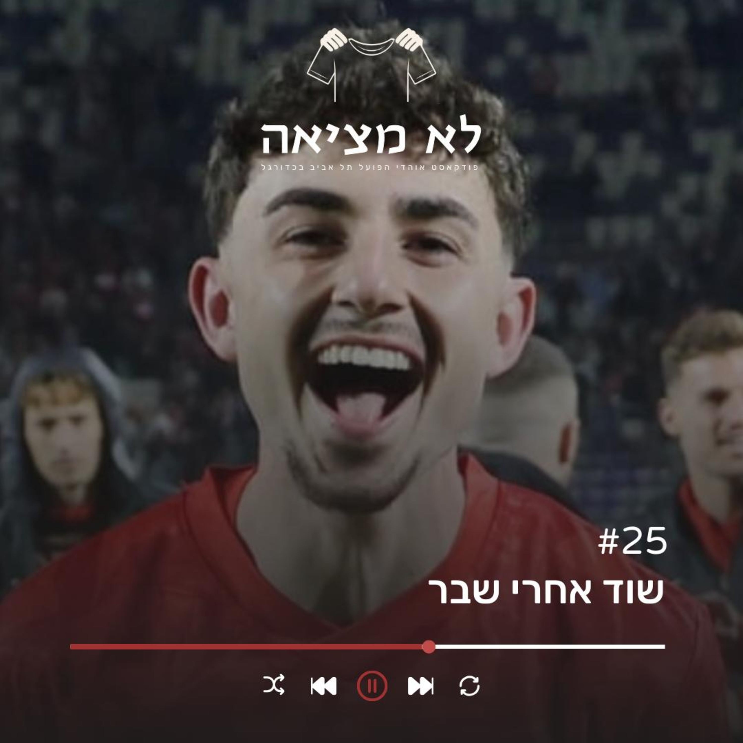 ״שוד אחרי השבר״ | לא מציאה, פרק 25