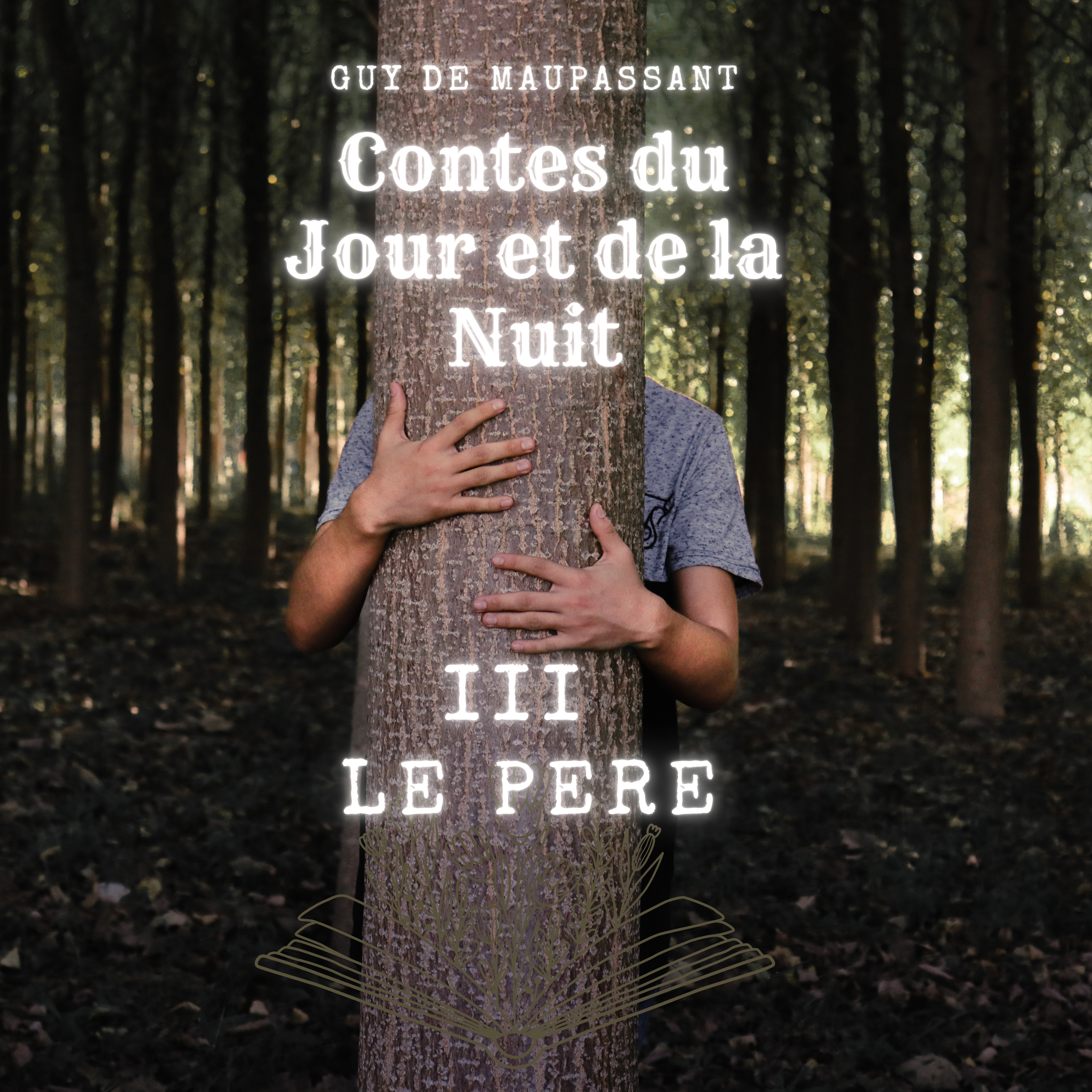 Livre audio-Contes du Jour et de la Nuit partie 3 : le père- Guy de Maupassant