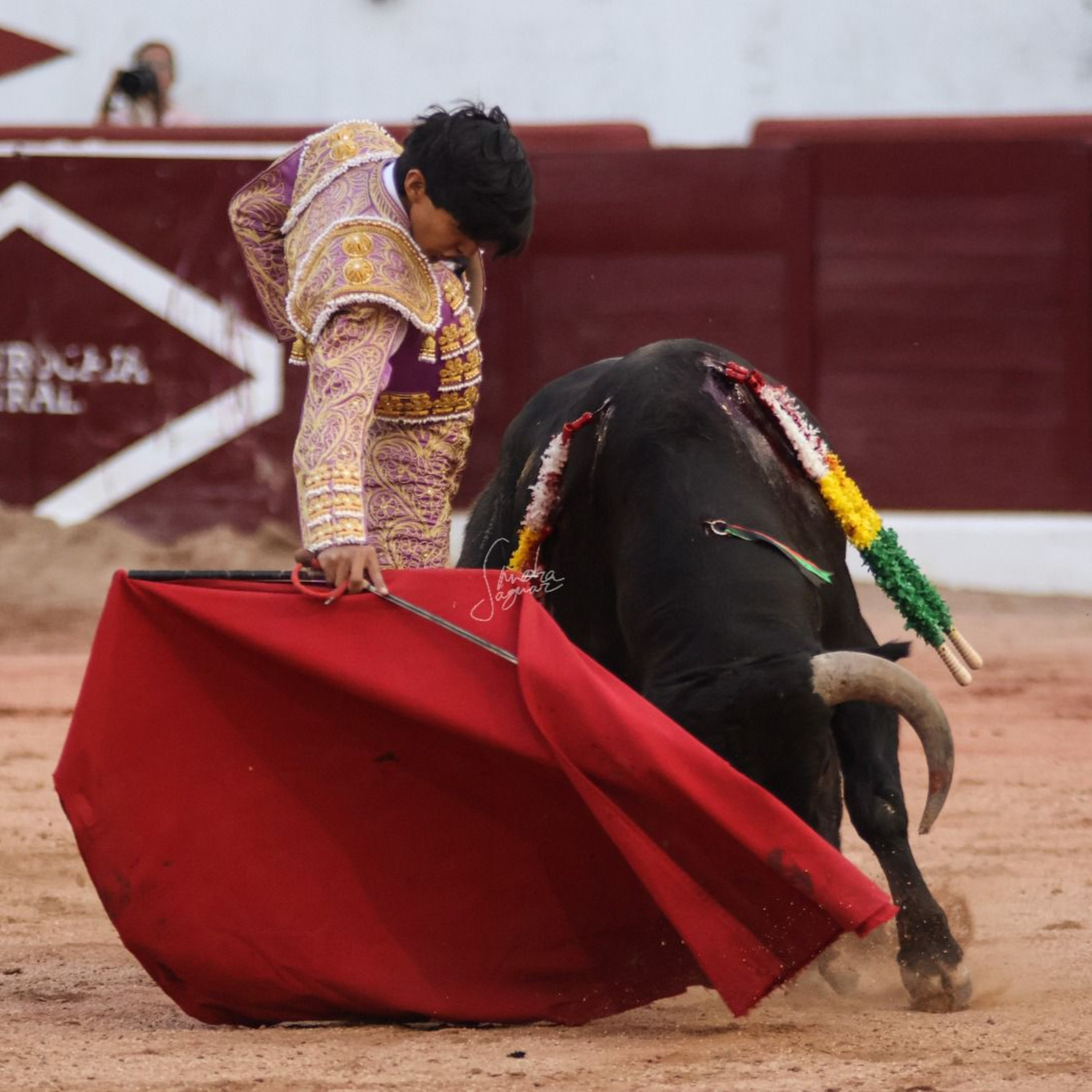Ciudad Taurina de Edgar Mendoza