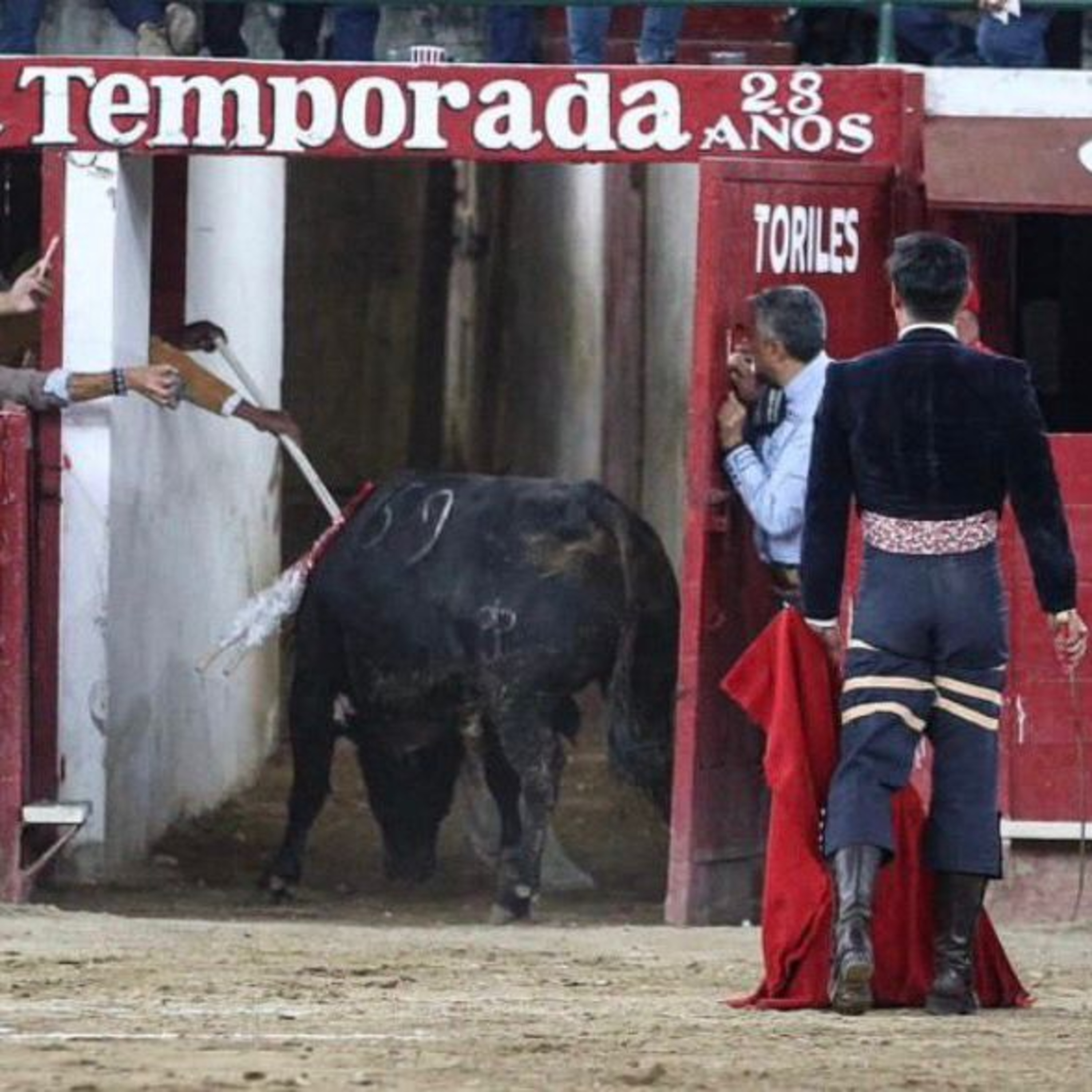 Ciudad Taurina de Edgar Mendoza