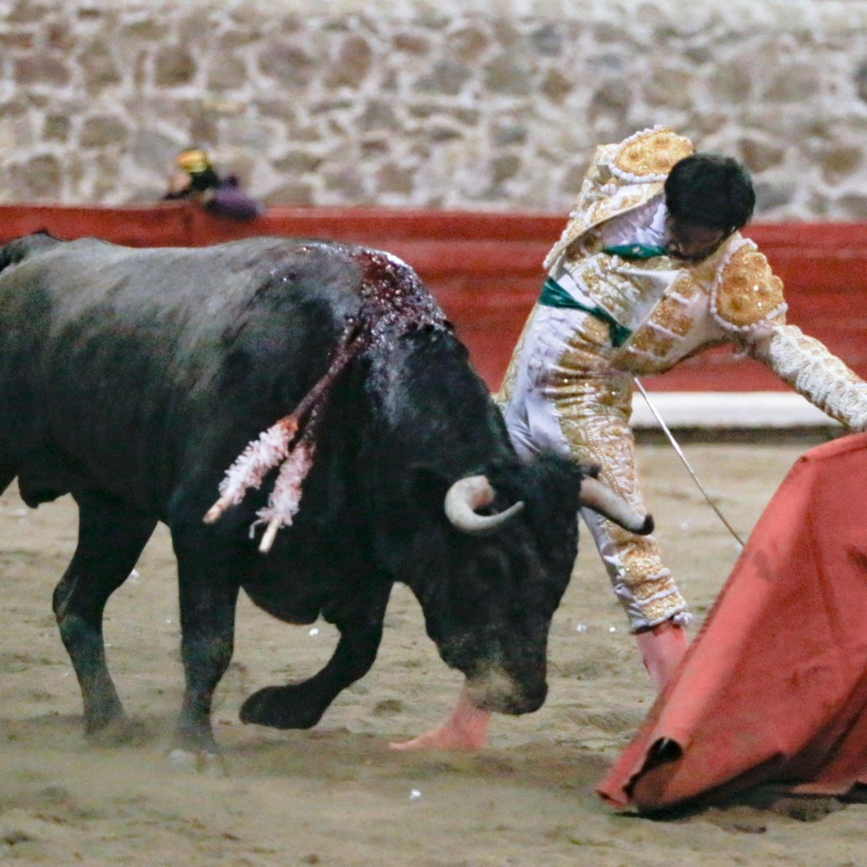Sebastián Ibelles busca y quiere ser torero grande.  episode artwork