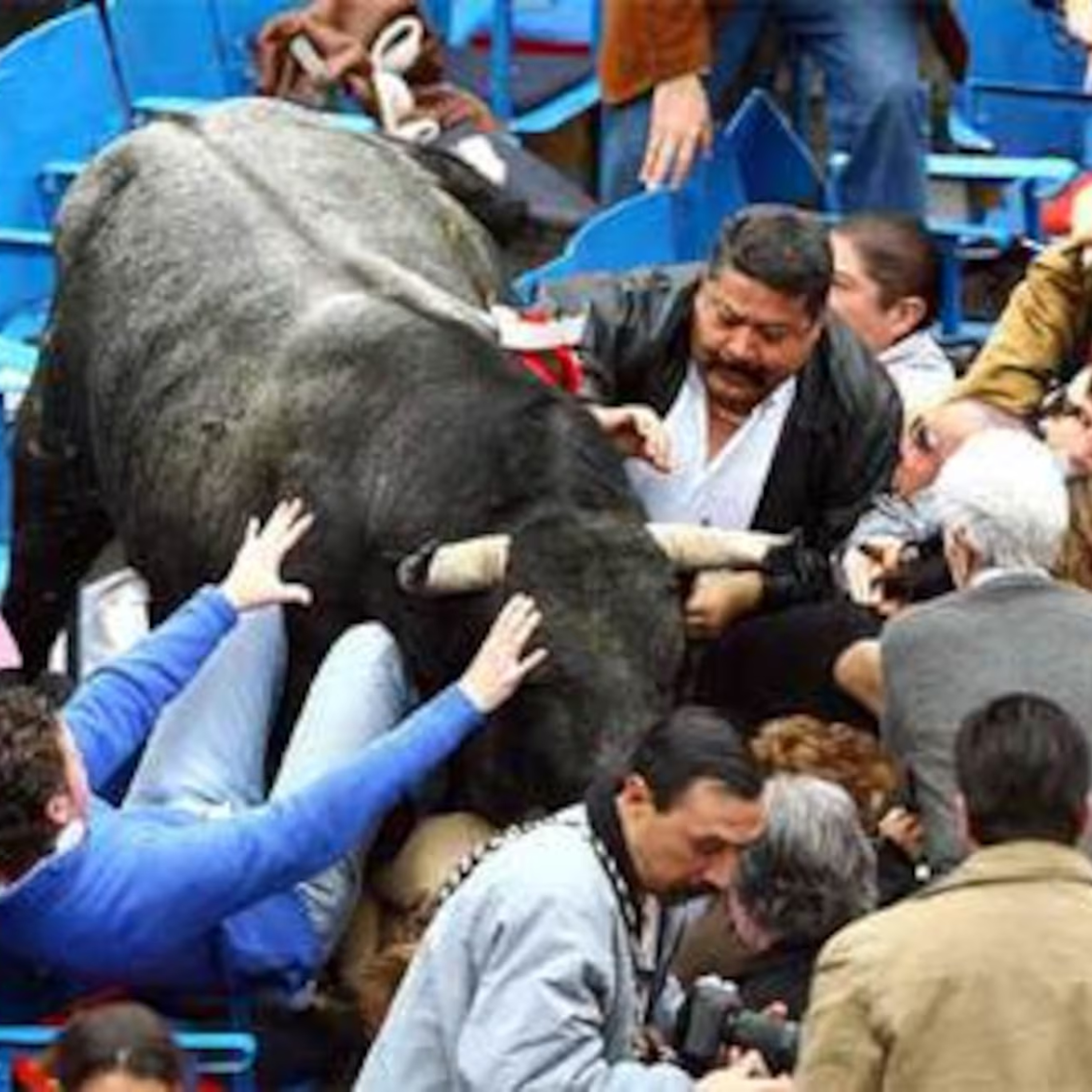 Ciudad Taurina de Edgar Mendoza