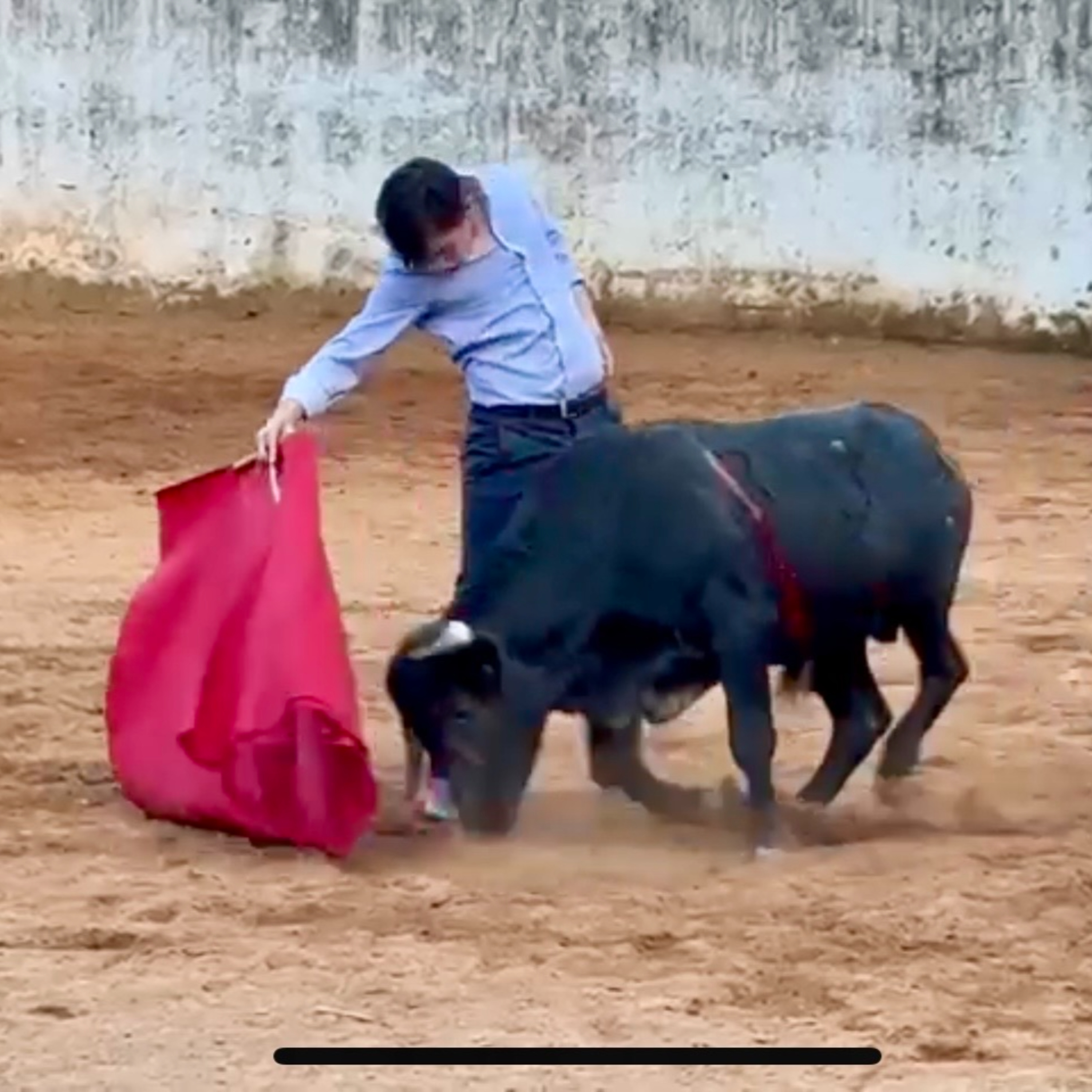 Ciudad Taurina de Edgar Mendoza