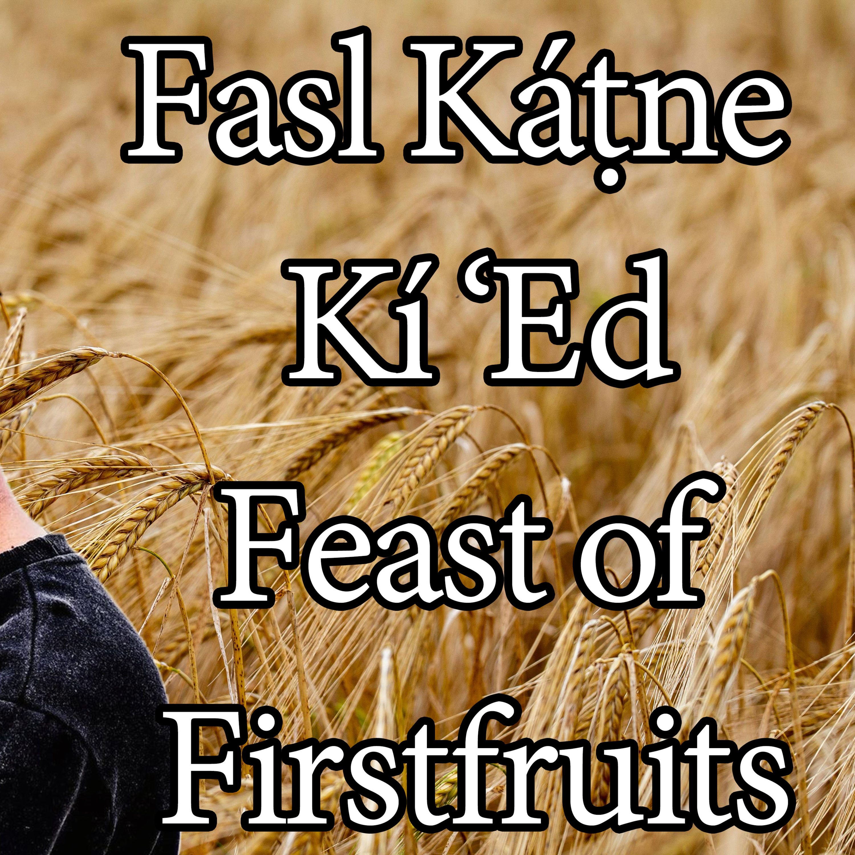 YASARIM EL BIBLE STUDY PODCASTE HINDI URDU