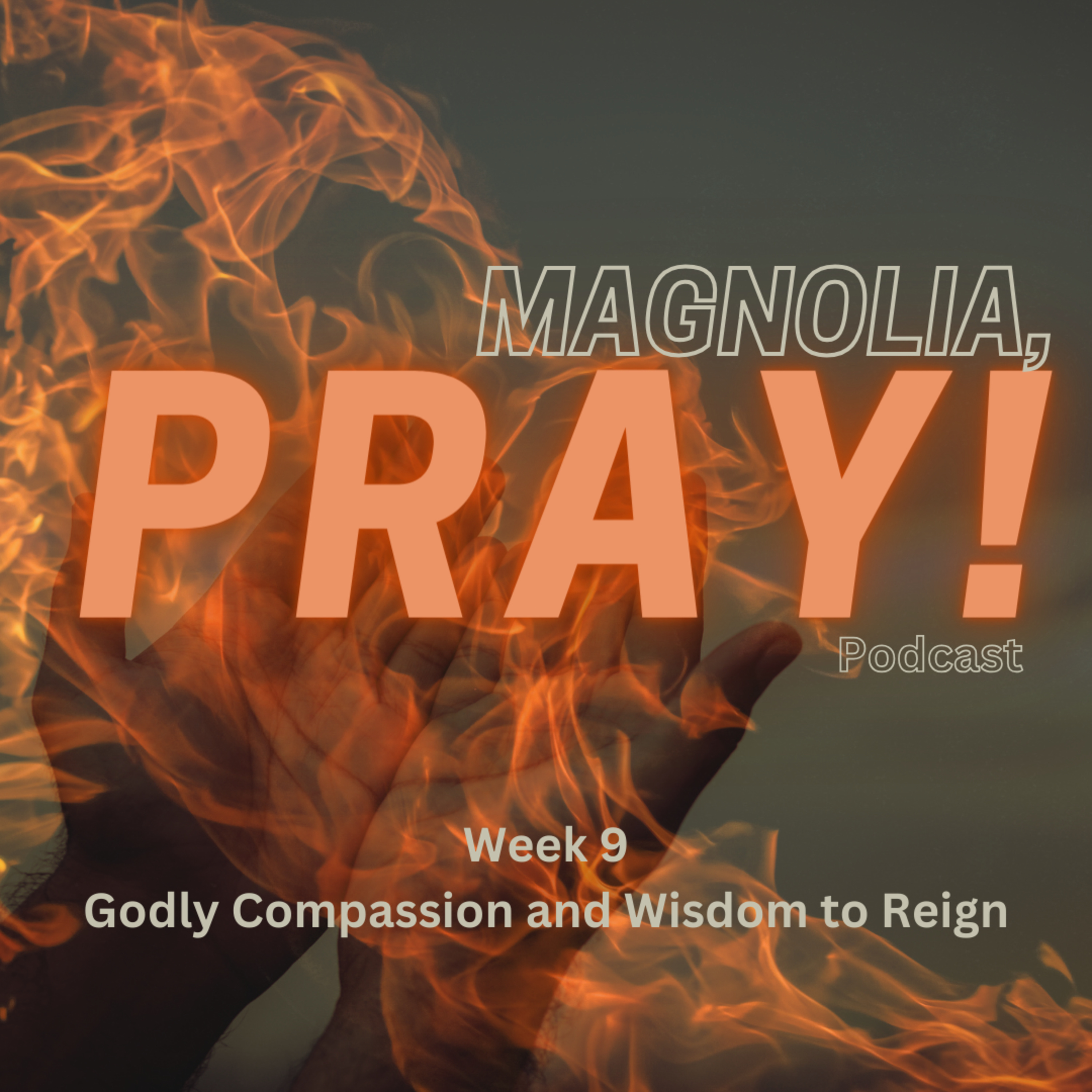 Magnolia, PRAY!
