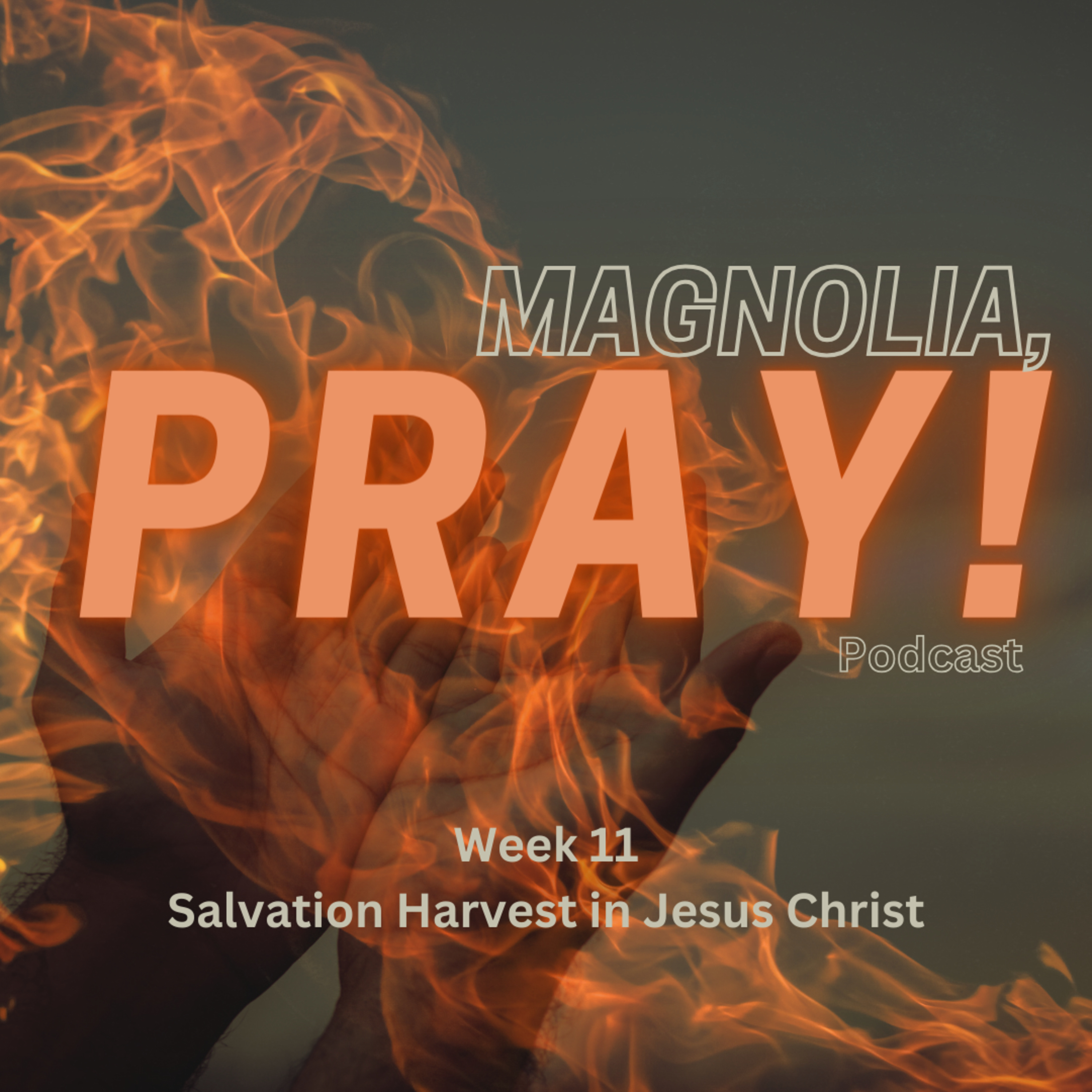Magnolia, PRAY!
