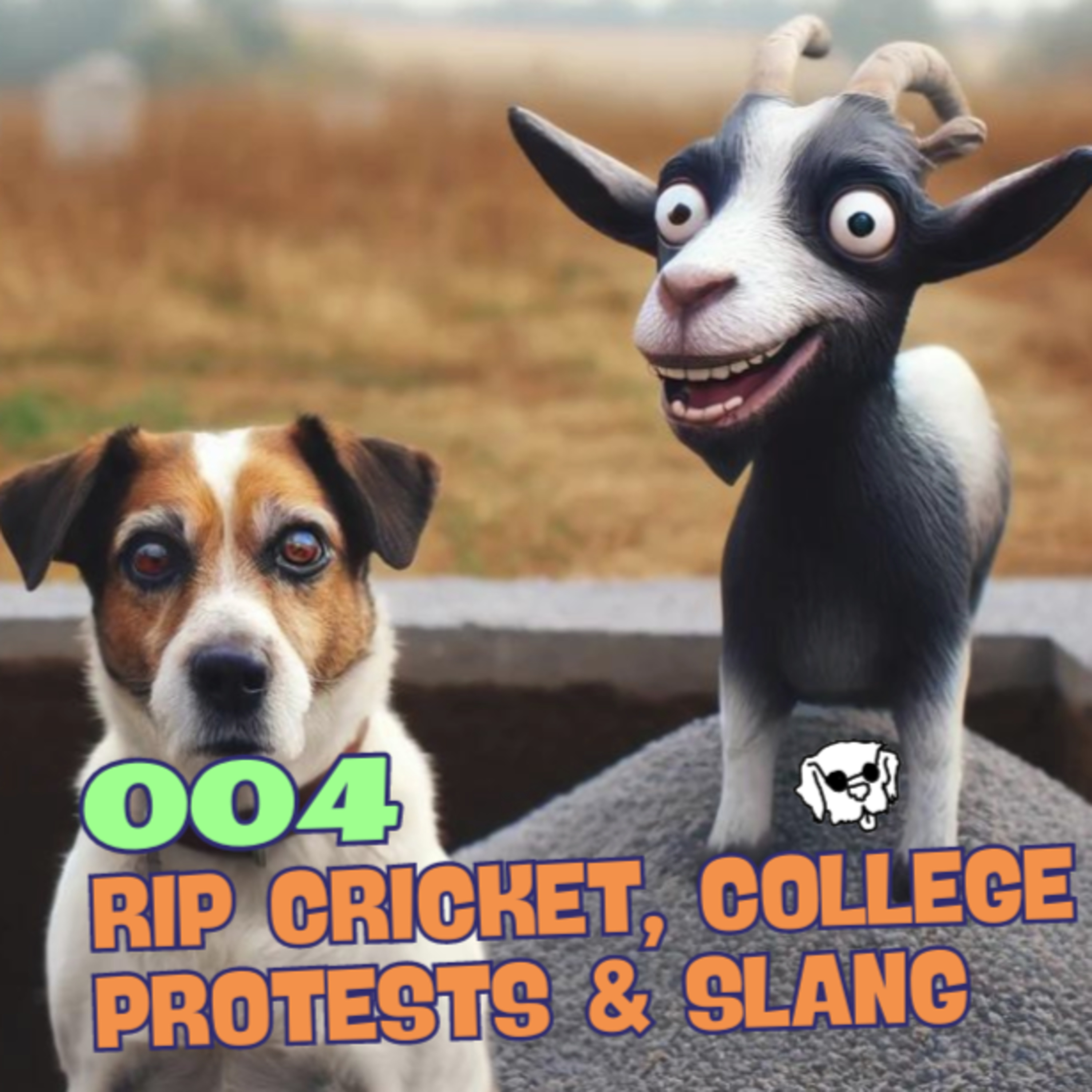 #04: RIP Cricket, College Protests & Slang episode artwork