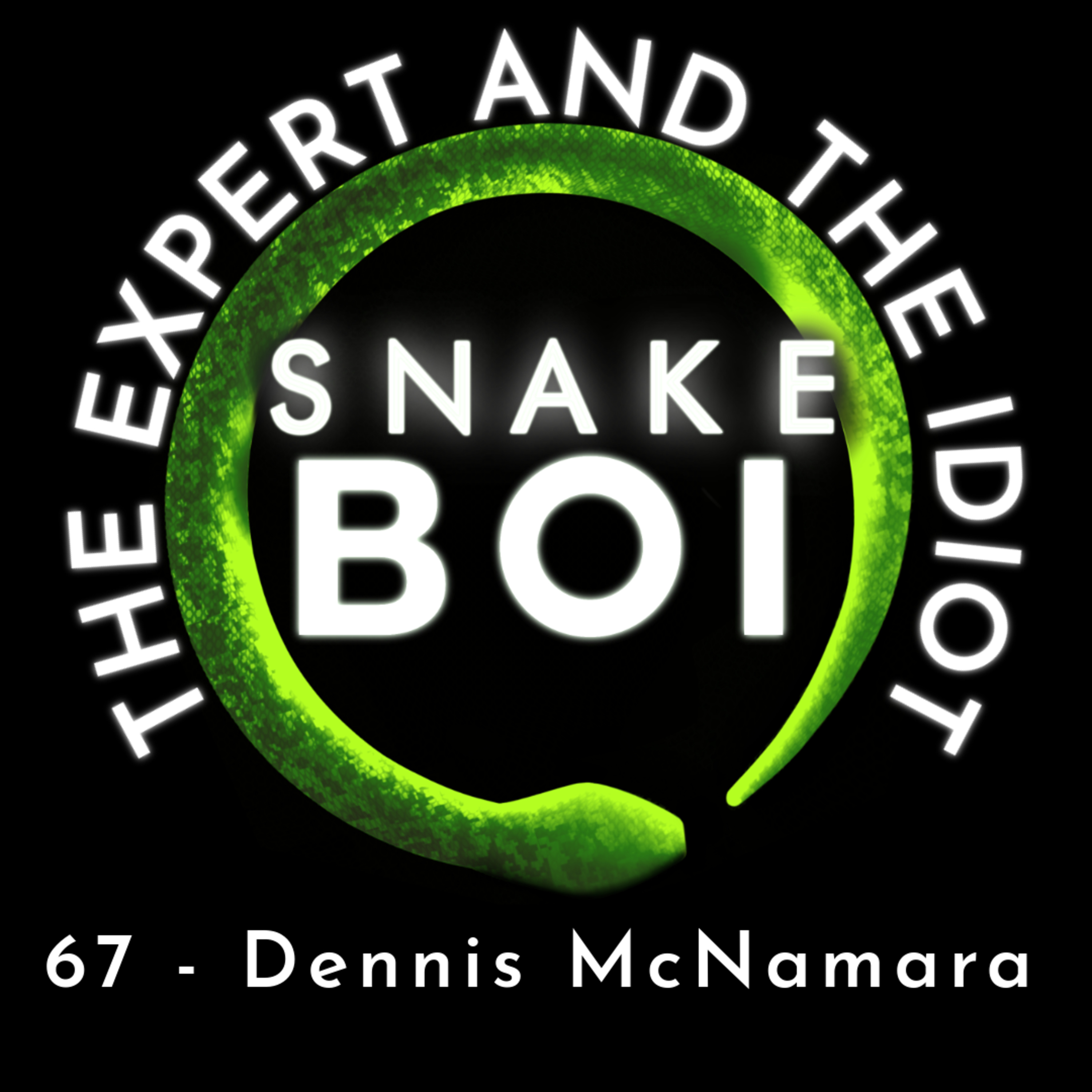 The Expert and The Idiot - A Reptile Podcast