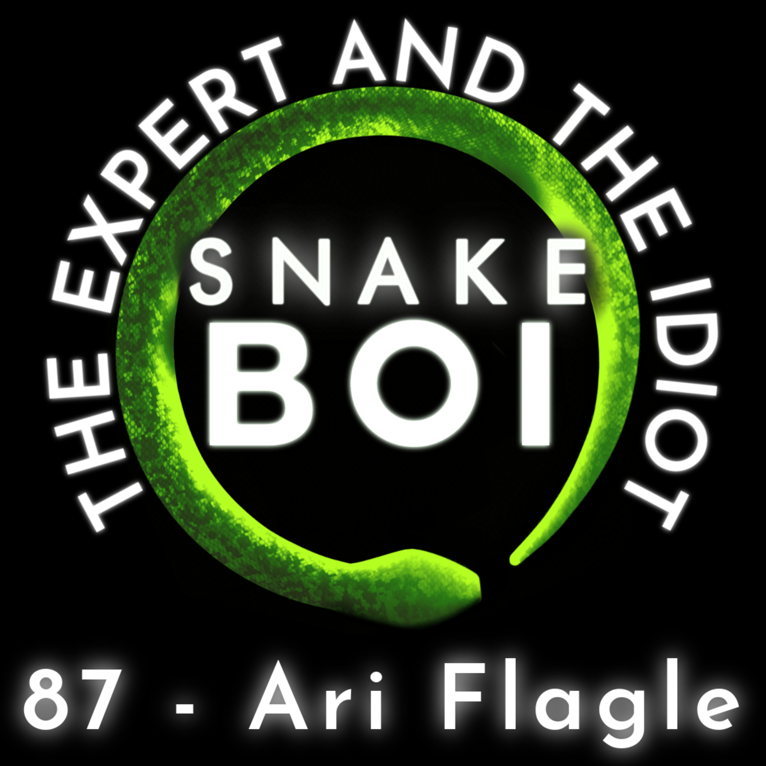 The Expert and The Idiot - A Reptile Podcast