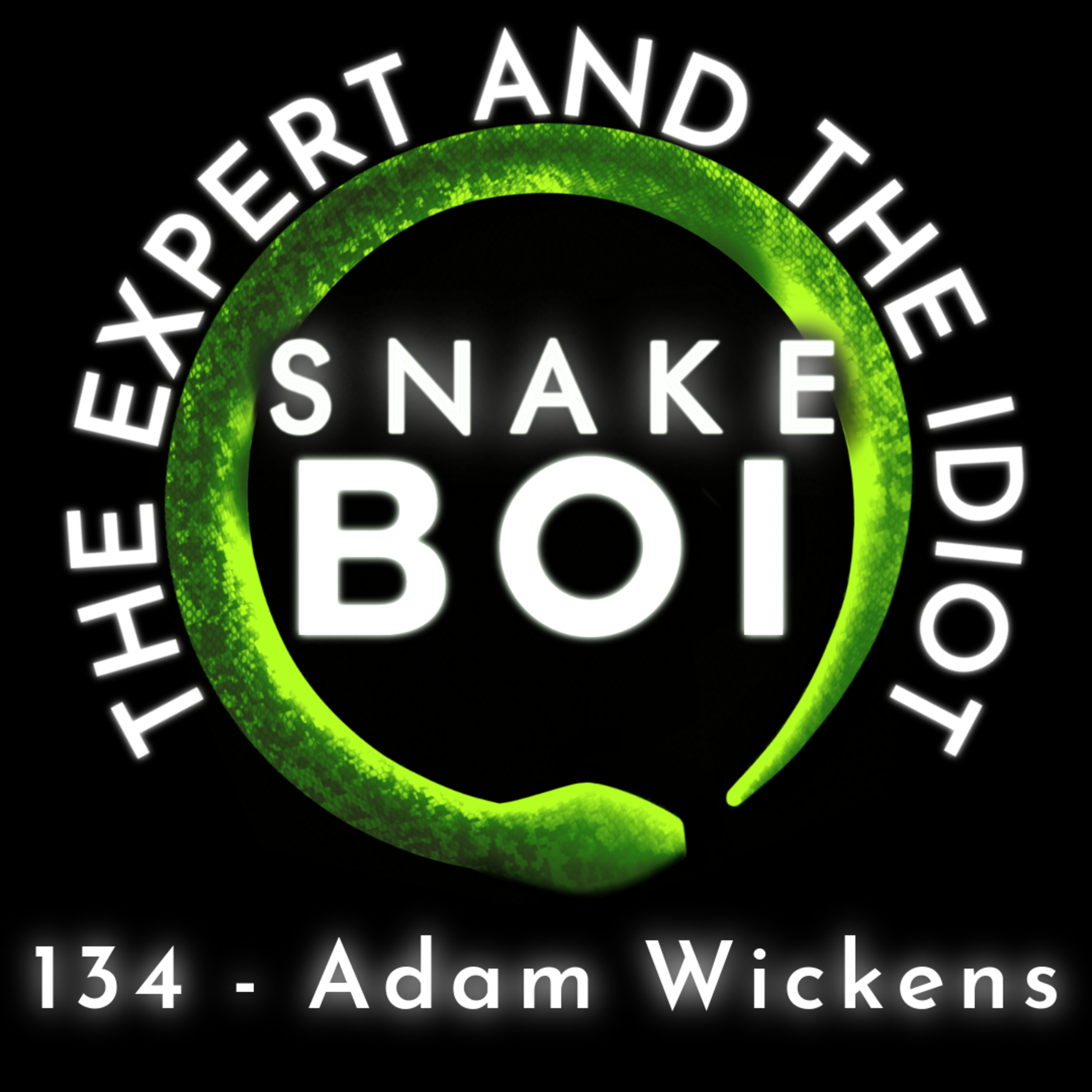 134 - Adam Wickens Wicked Return - The Expert and The Idiot - A Reptile Podcast episode artwork