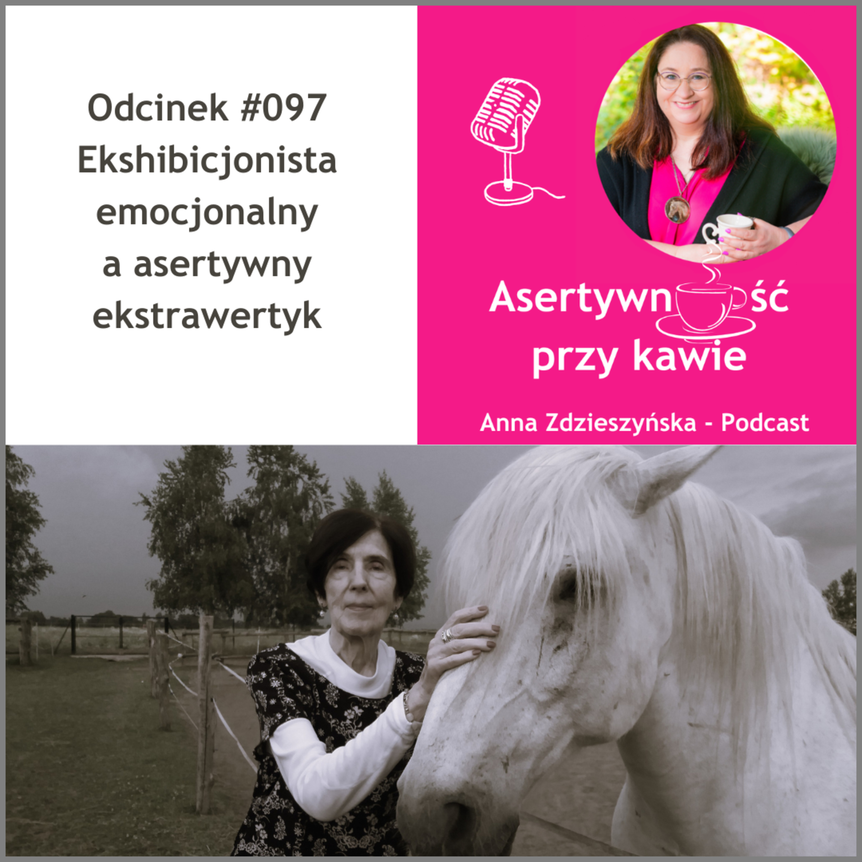 #097 Ekshibicjonista emocjonalny a asertywny ekstrawertyk episode artwork