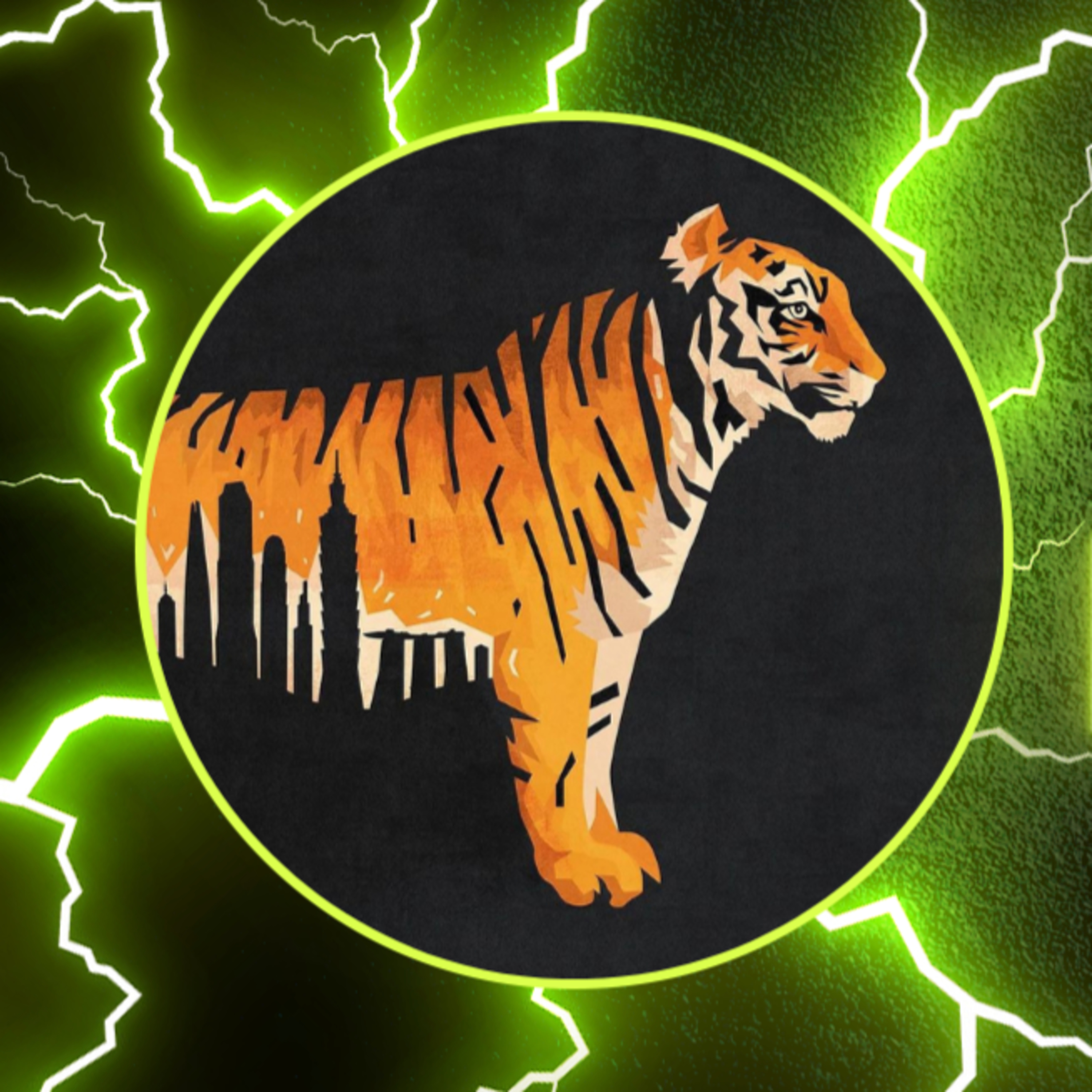The Cause of The Rise of The Four Asian Tigers W/ Connor Davis episode artwork