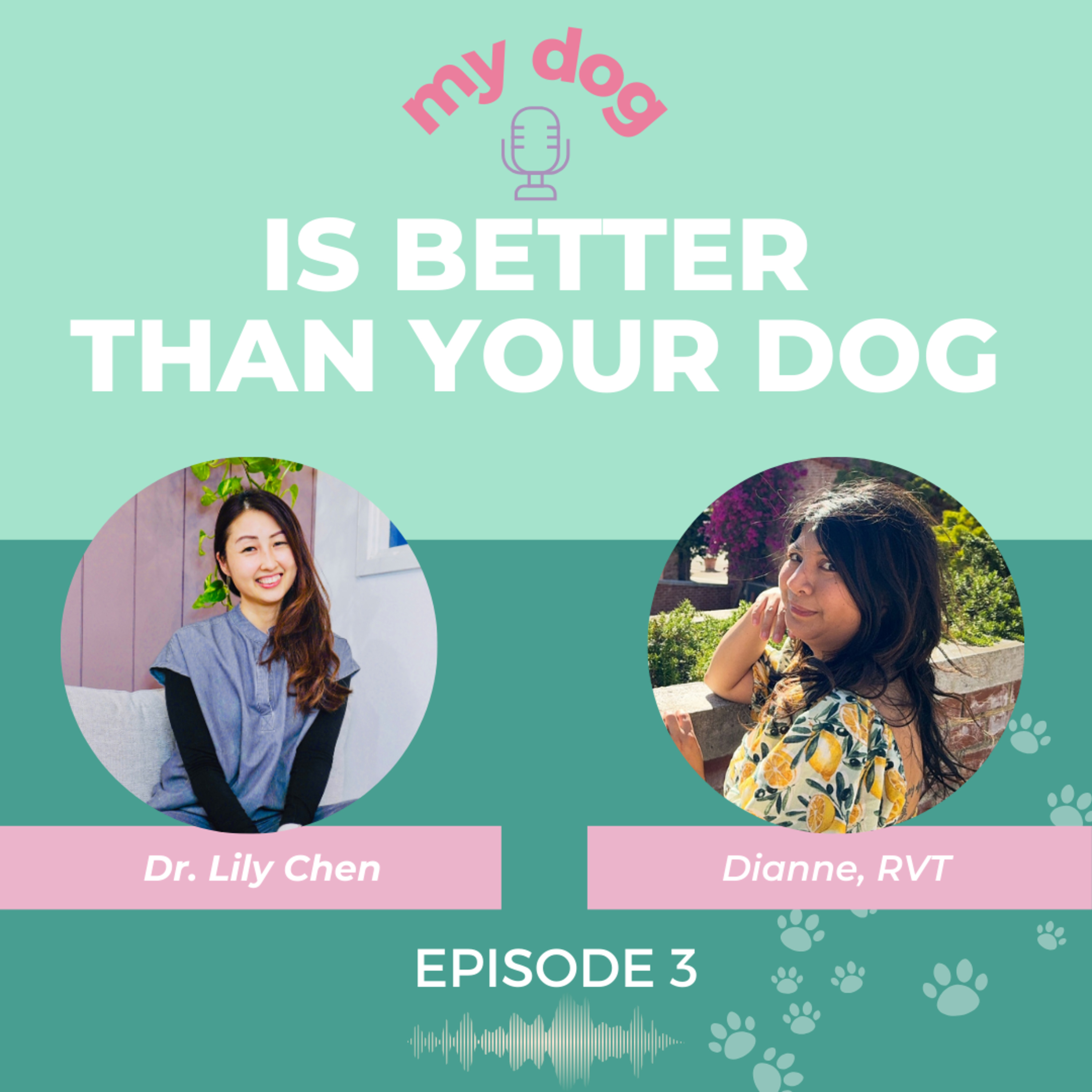 Episode 3: Veterinary Tech Meets Creative Passion – Dianne’s Tale