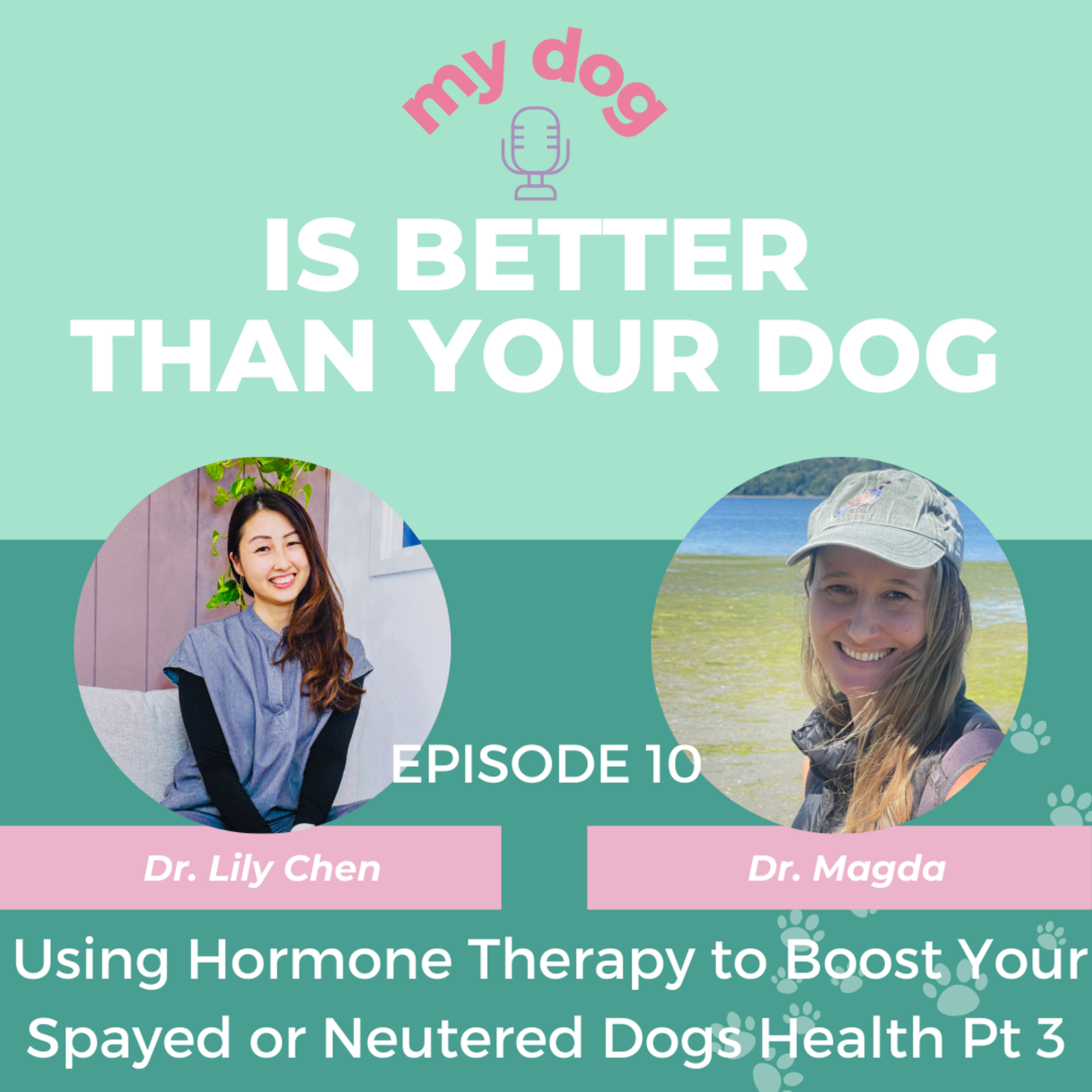 Episode 10: Using Hormone Therapy to Boost Your Spayed or Neutered dogs Health Pt 3
