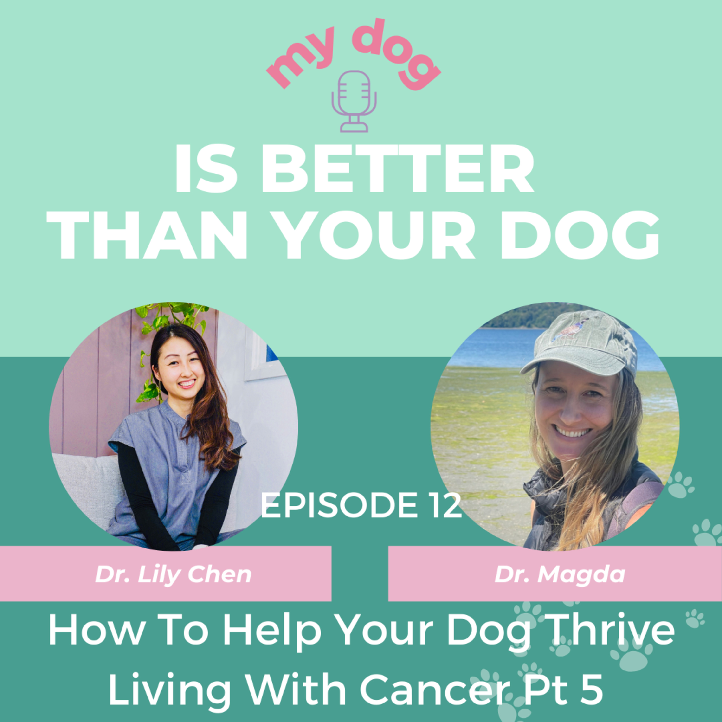 Episode 12: How To Help Your Dog Thrive Living With Cancer Part 5