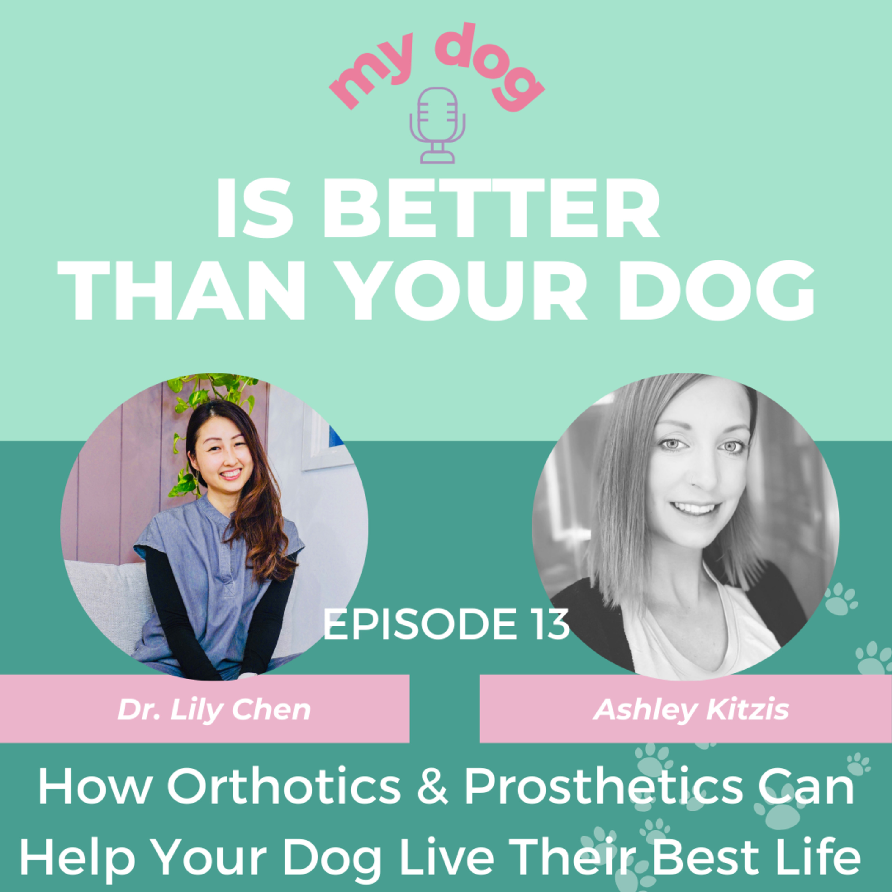 Episode 13: How Orthotics & Prosthetics Can Help Your Dog Live Their Best Life w/ Ashley Kitzis