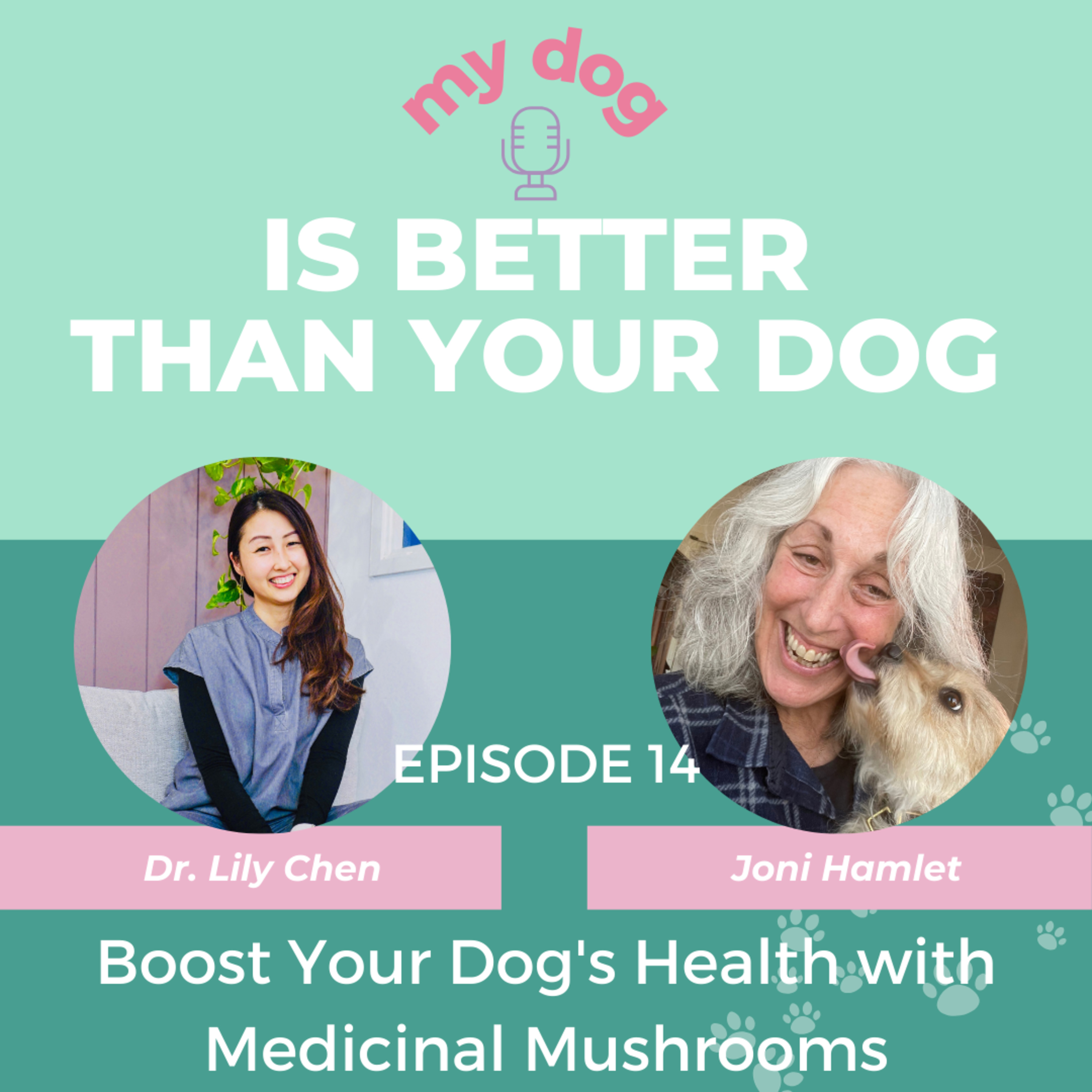 Use medicinal mushrooms to boost your dog's microbiome, aid cancer healing, and support senior dogs with dementia w/ Joni Kamlet from Real Mushrooms