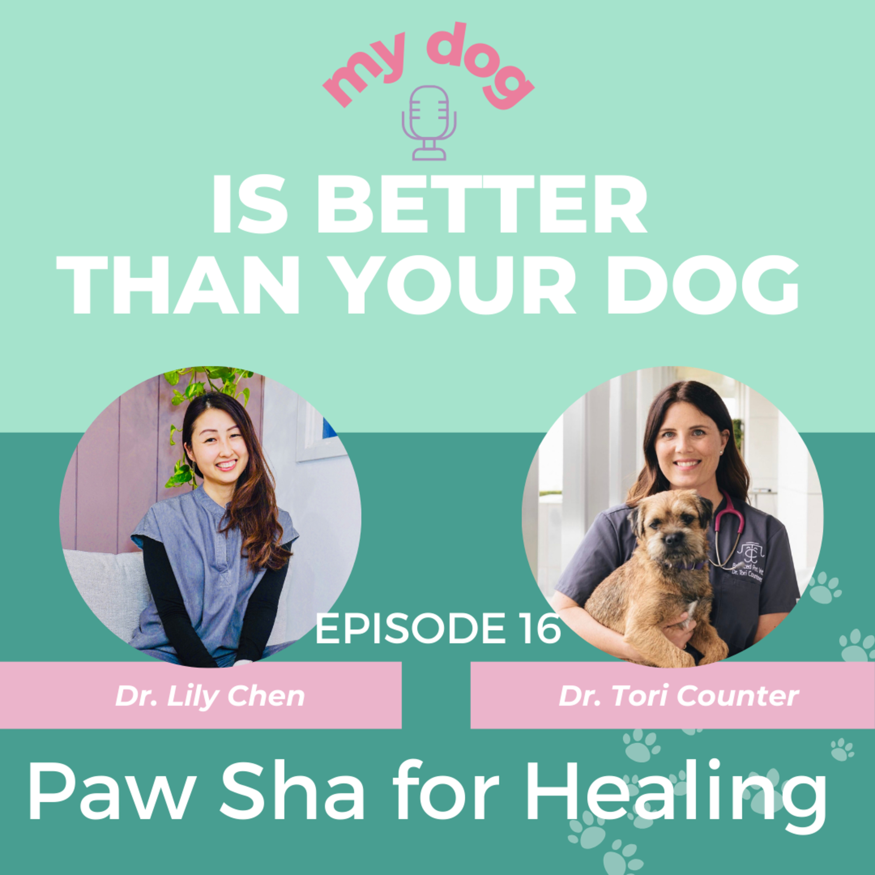 How “Paw Sha” aka Gua Sha for dogs can relieve pain & increase mobility with Dr. Tori Counter