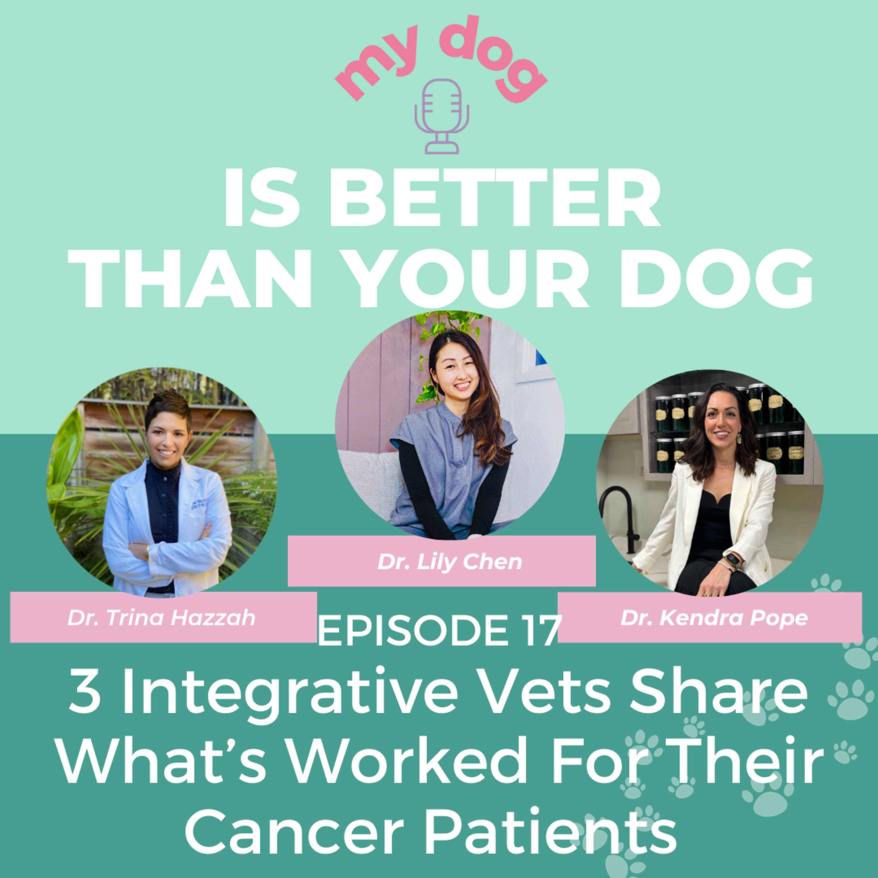 3 integrative vets share what’s worked for their cancer patients
