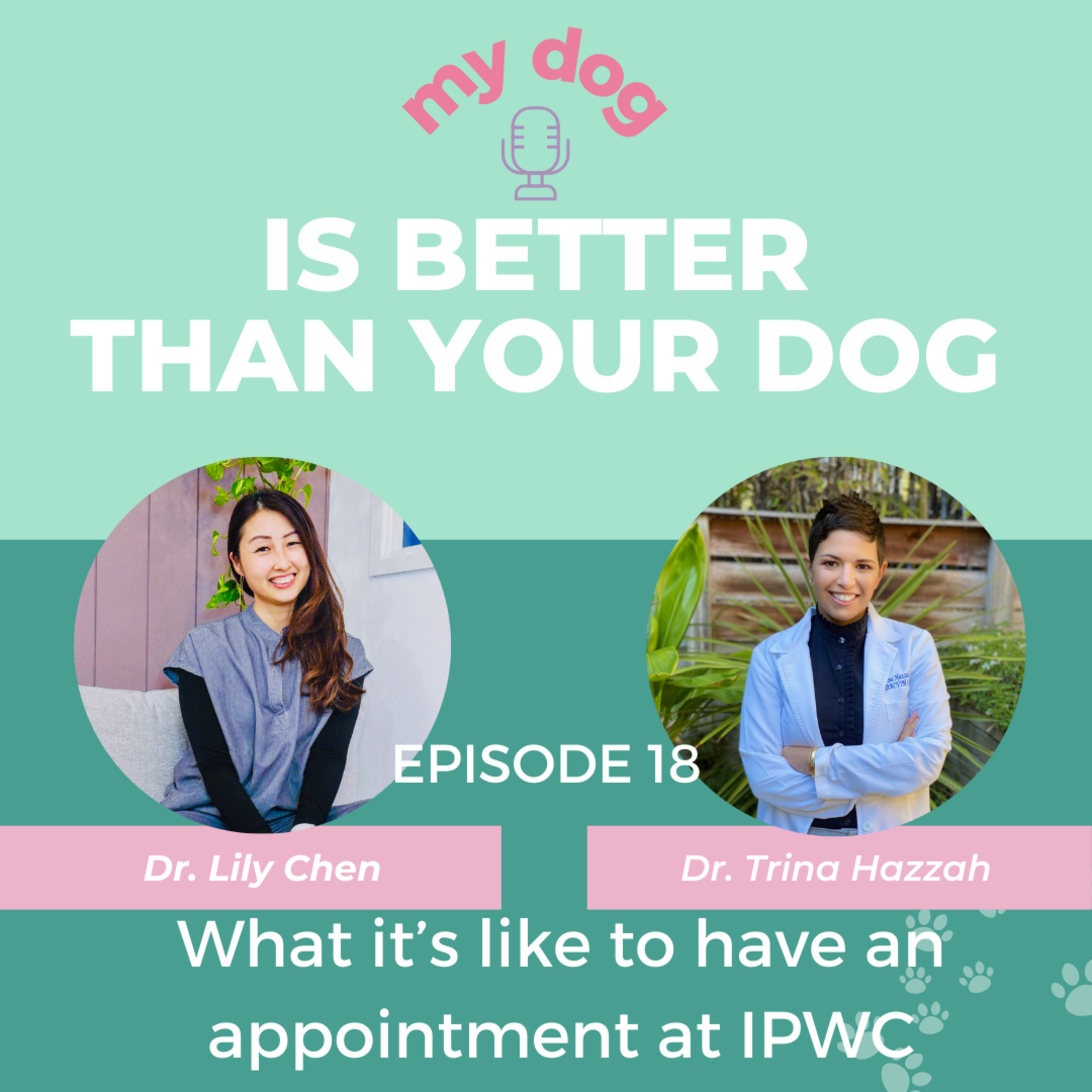 What it’s like to have an appointment at the Integrative Pet Wellness Center w/ Dr. Trina Hazzah