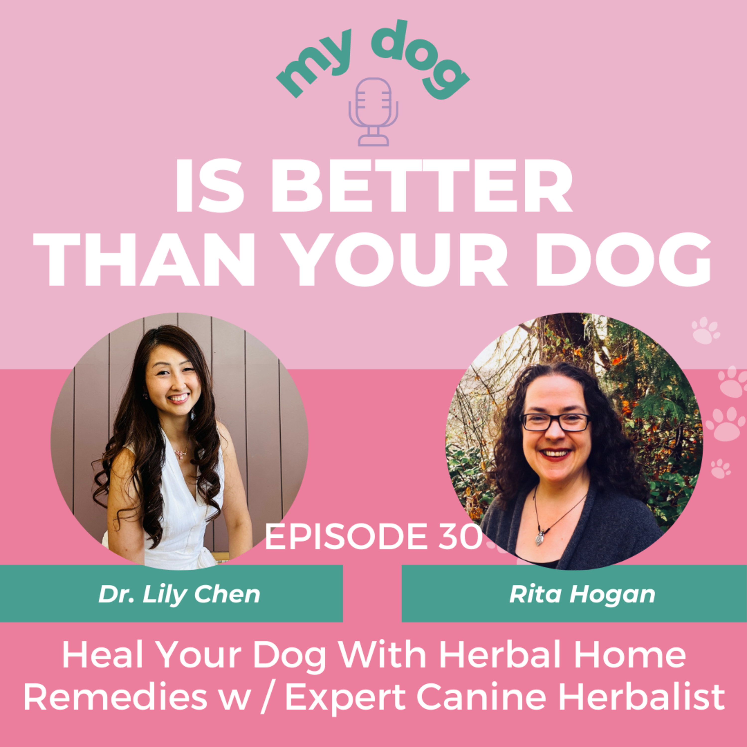 My Dog Is Better Than Your Dog