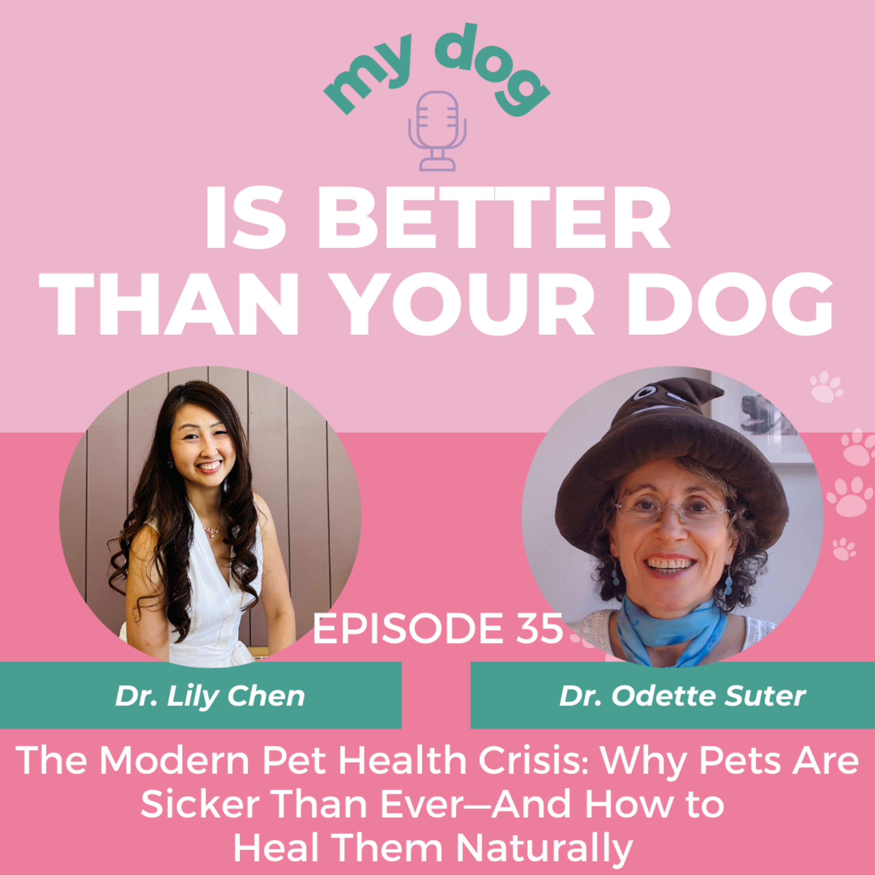 The Modern Pet Health Crisis: Why Pets Are Sicker Than Ever—And How to Heal Them Naturally w/ Dr. Odette Suter