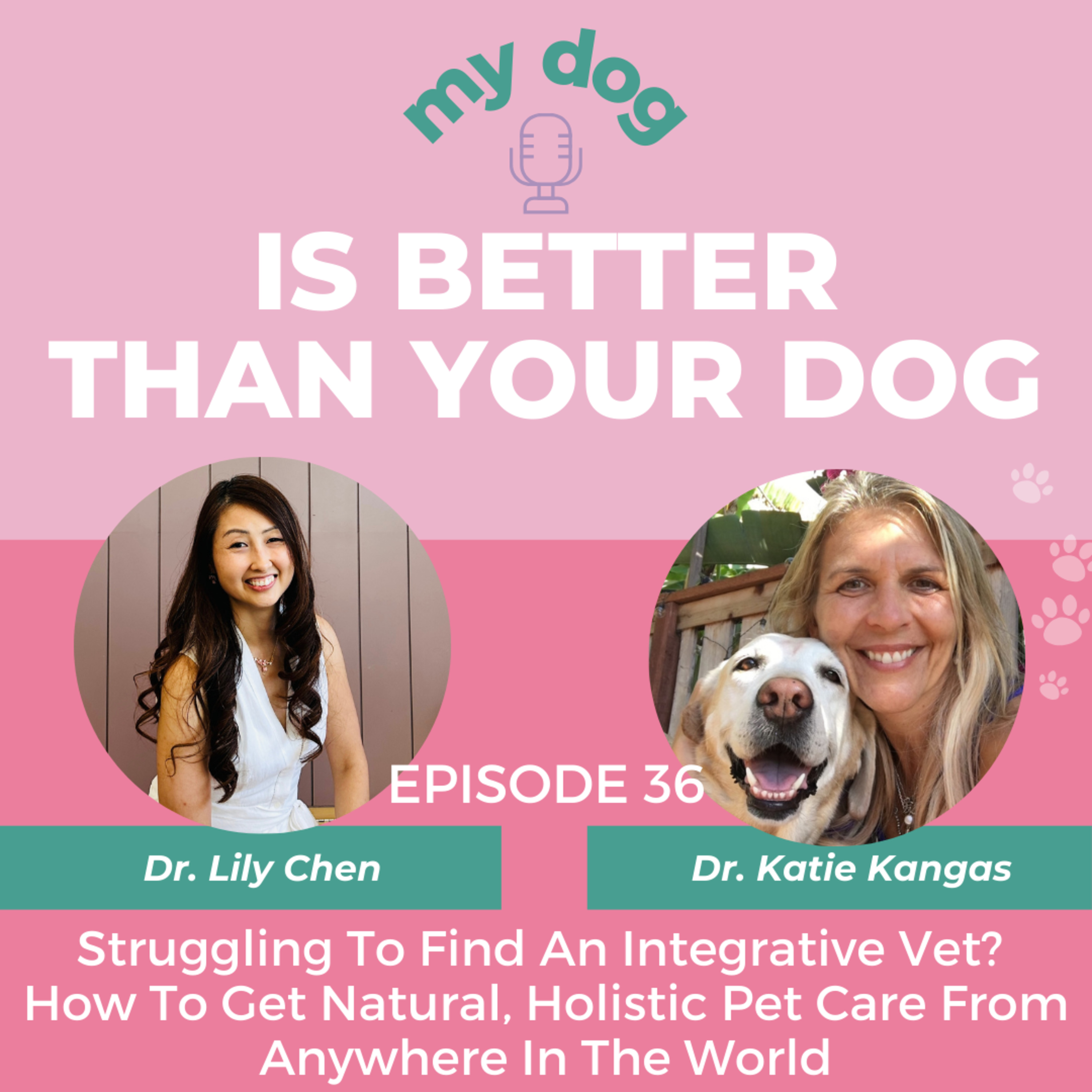 Struggling to find an integrative vet? How to get natural, holistic pet care from anywhere in the world w/ Dr. Katie Kangas