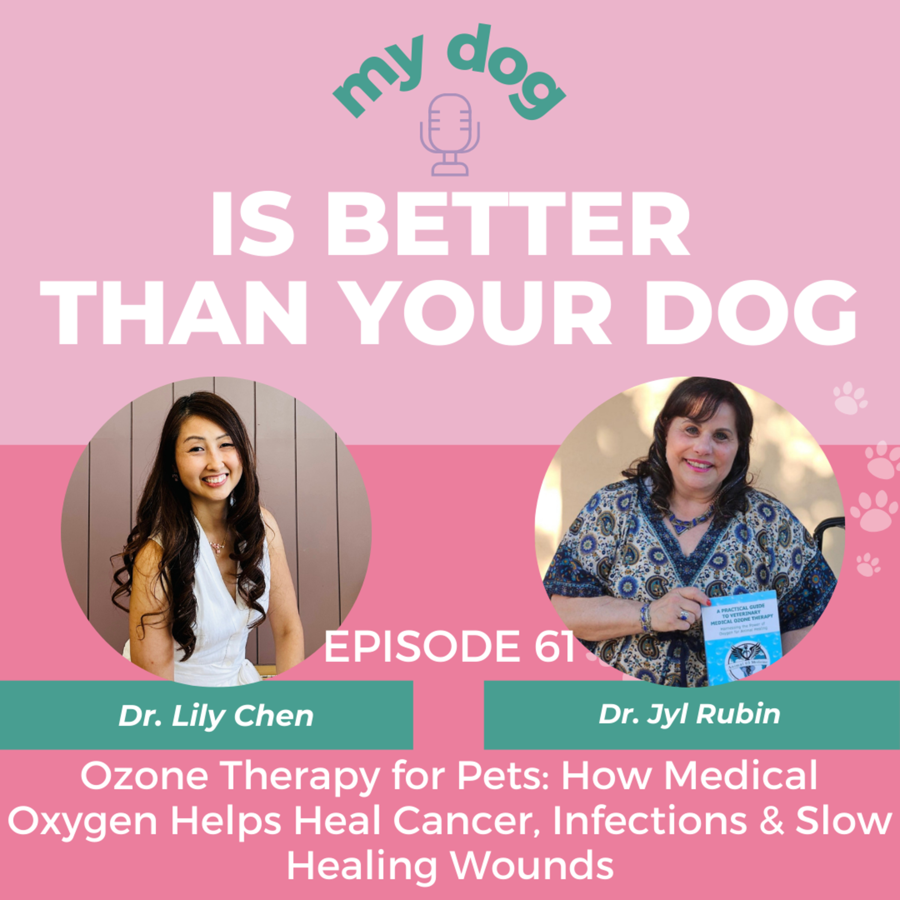 Ozone Therapy for Pets: How Medical Oxygen Helps Heal Cancer, Infections & Slow Healing Wounds w/ Dr. Jyl Rubin