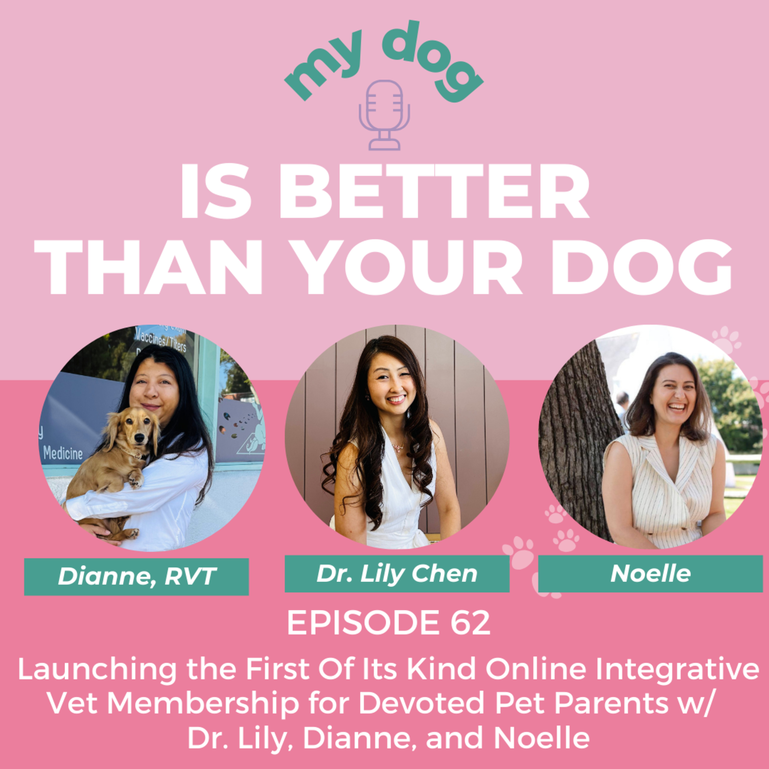 Launching the First Of Its Kind Online Integrative Vet Membership for Devoted Pet Parents w/ Integrative Vet Dr. Lily and DianNe RVT