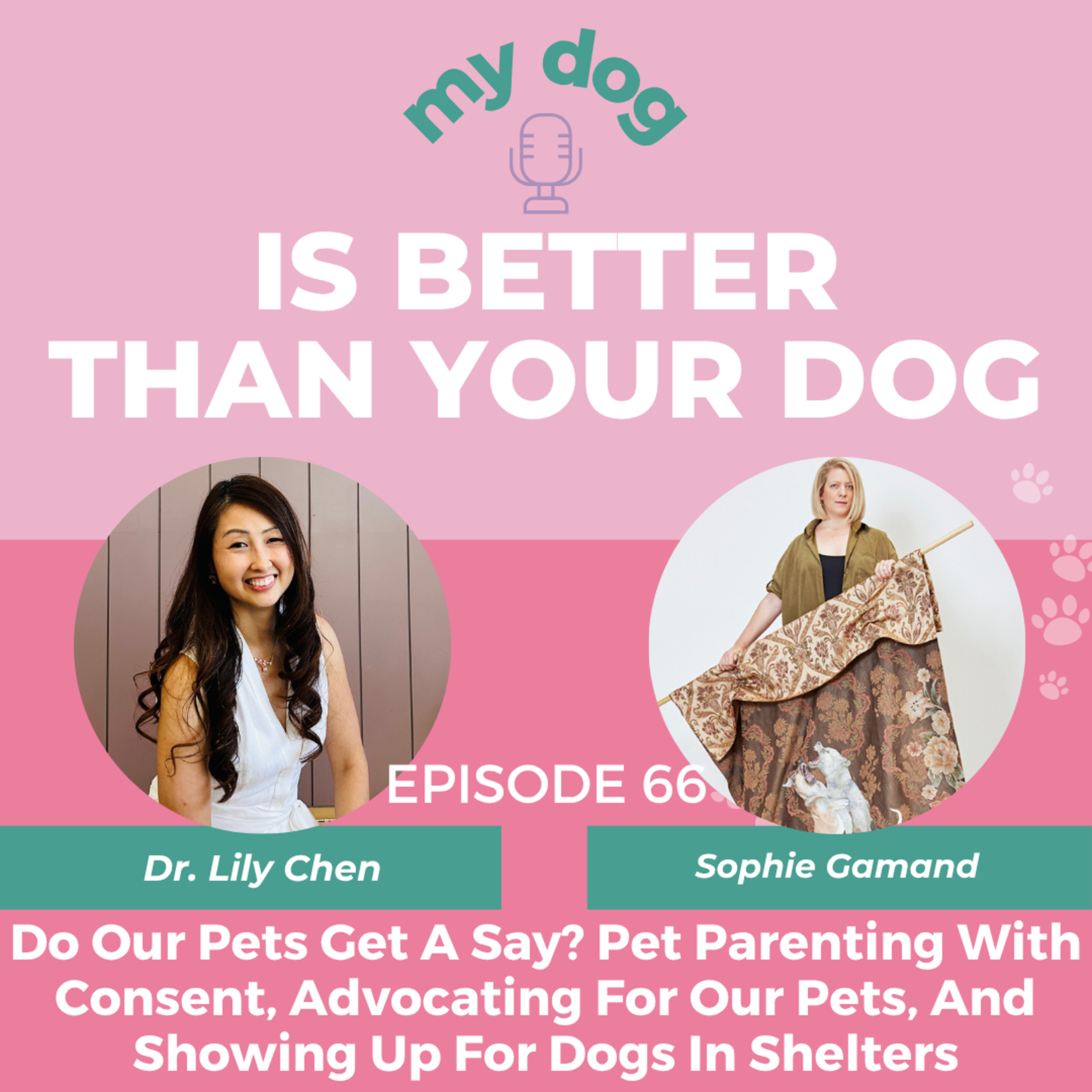 Do Our Pets Get A Say? Pet Parenting With Consent, Advocating For Our Pets, And Showing Up For Dogs In Shelters w/ Sophie Gamand