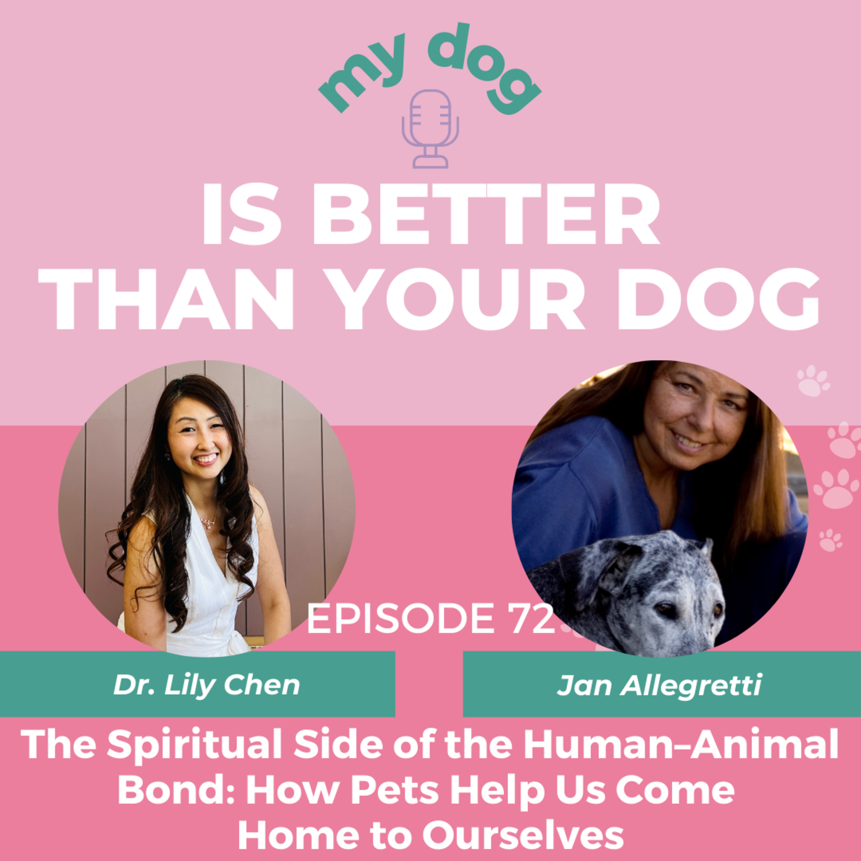 The Spiritual Side of the Human–Animal Bond: How Pets Help Us Come Home to Ourselves w/ pet homeopath Jan Allegretti