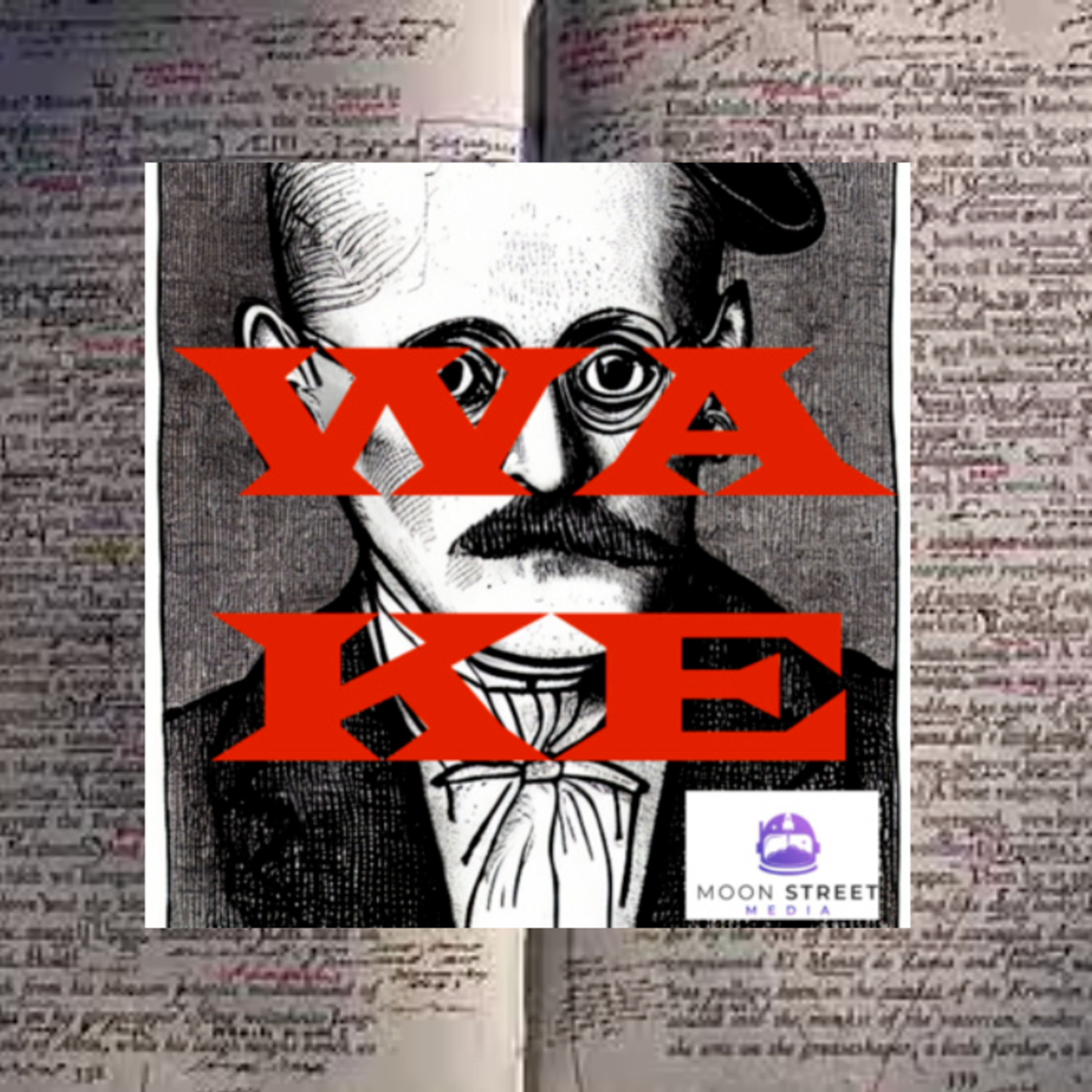 WAKE: Cold Reading Finnegans Wake