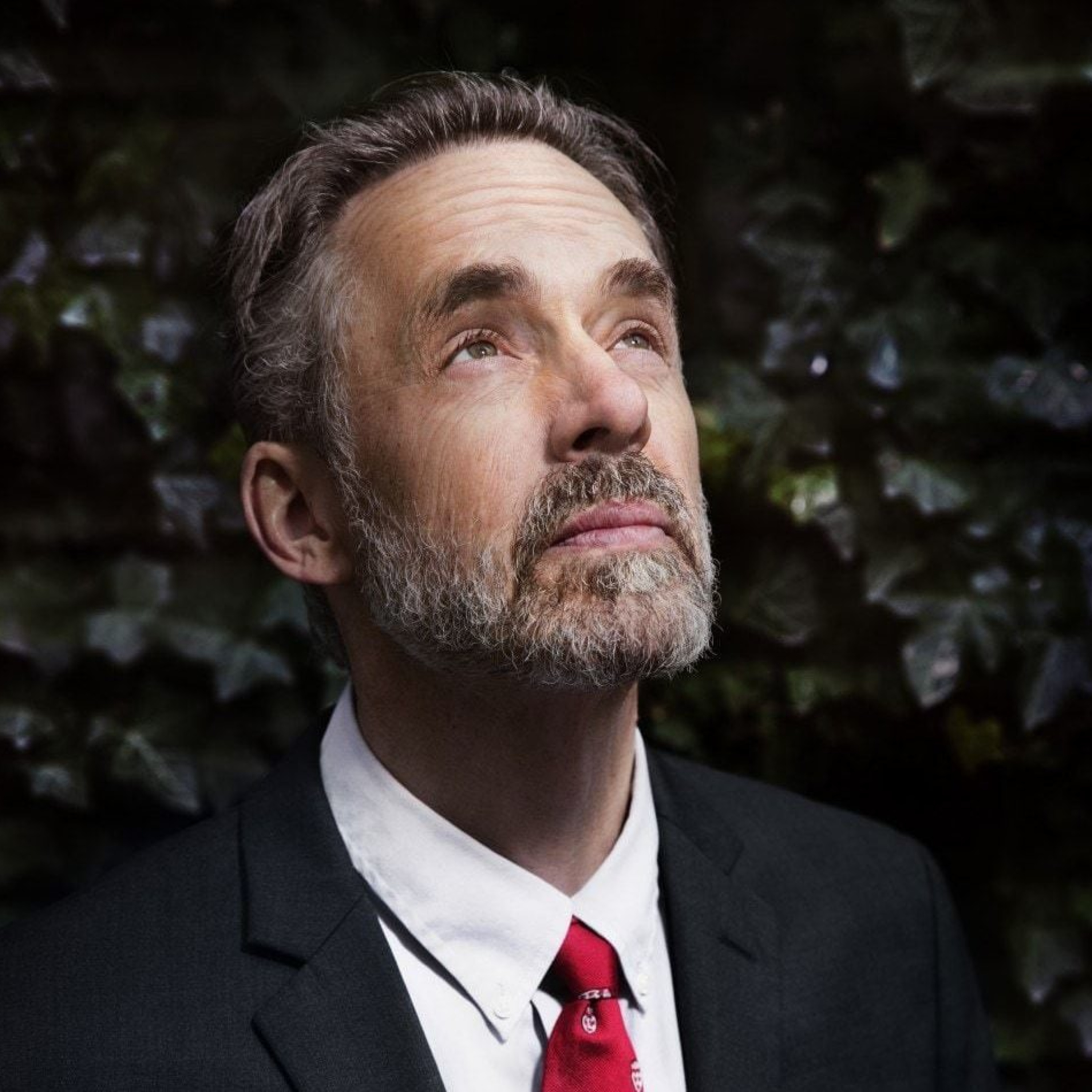 cover of episode Jordan Peterson: Look Into the Abyss 