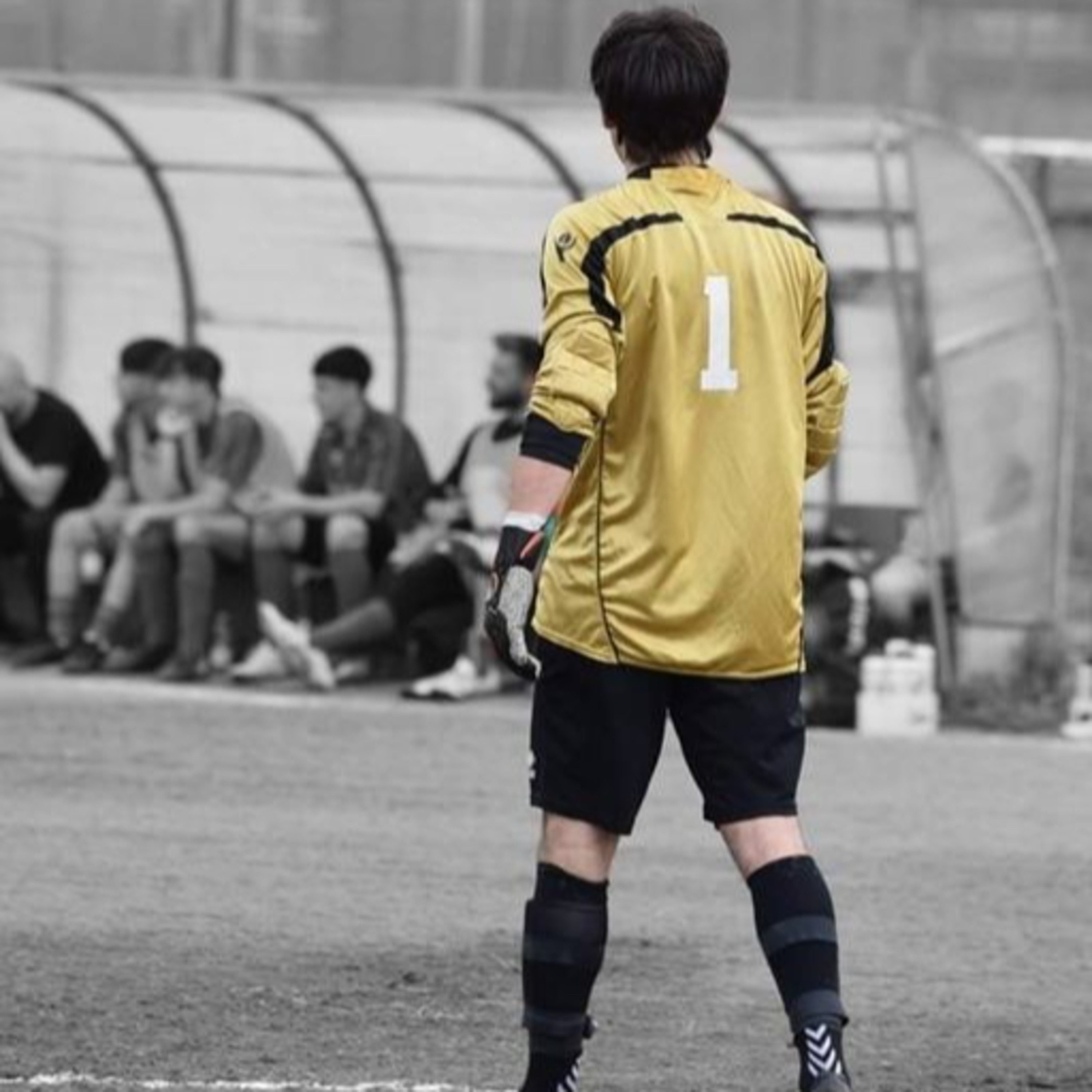 I racconti di: \