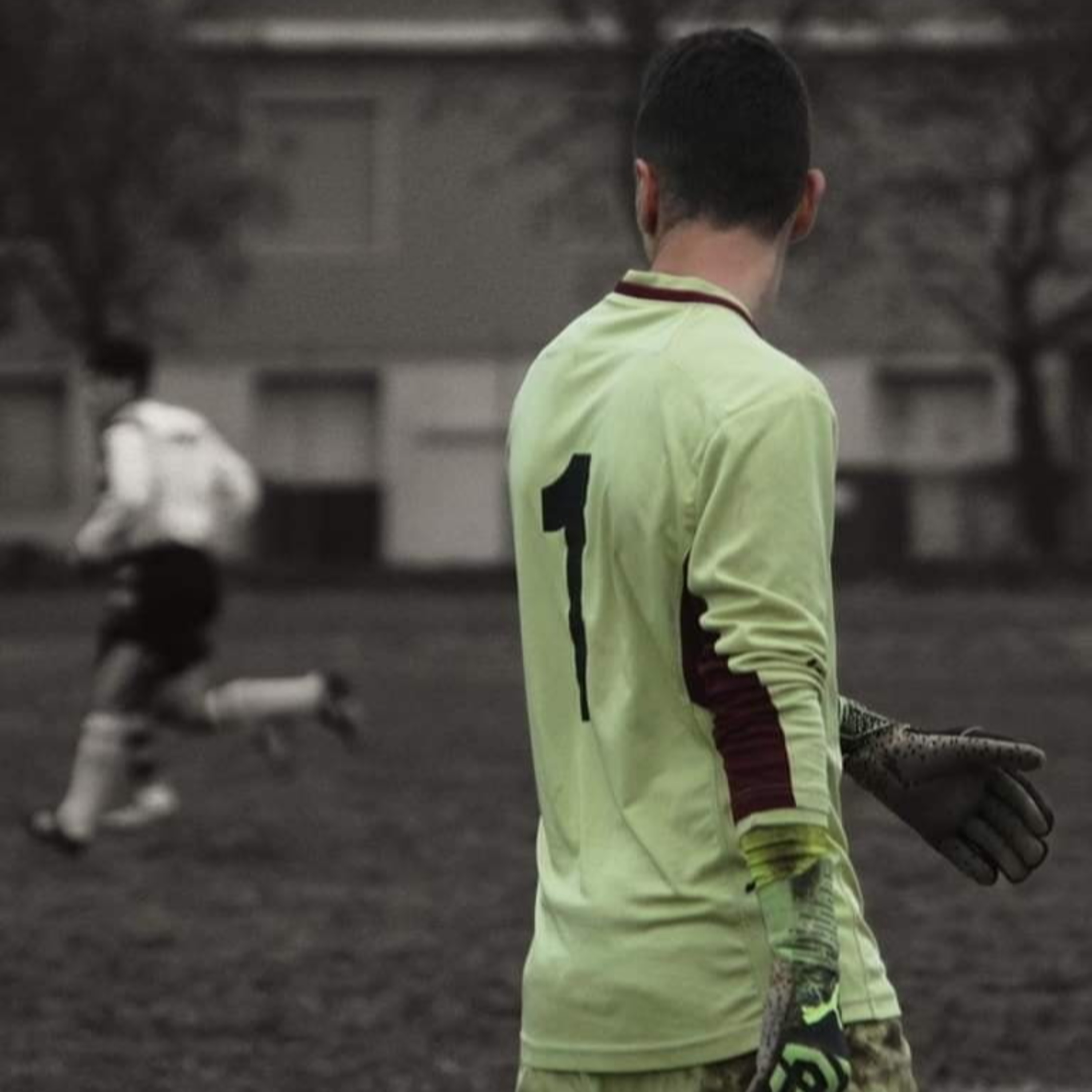 I racconti di: \