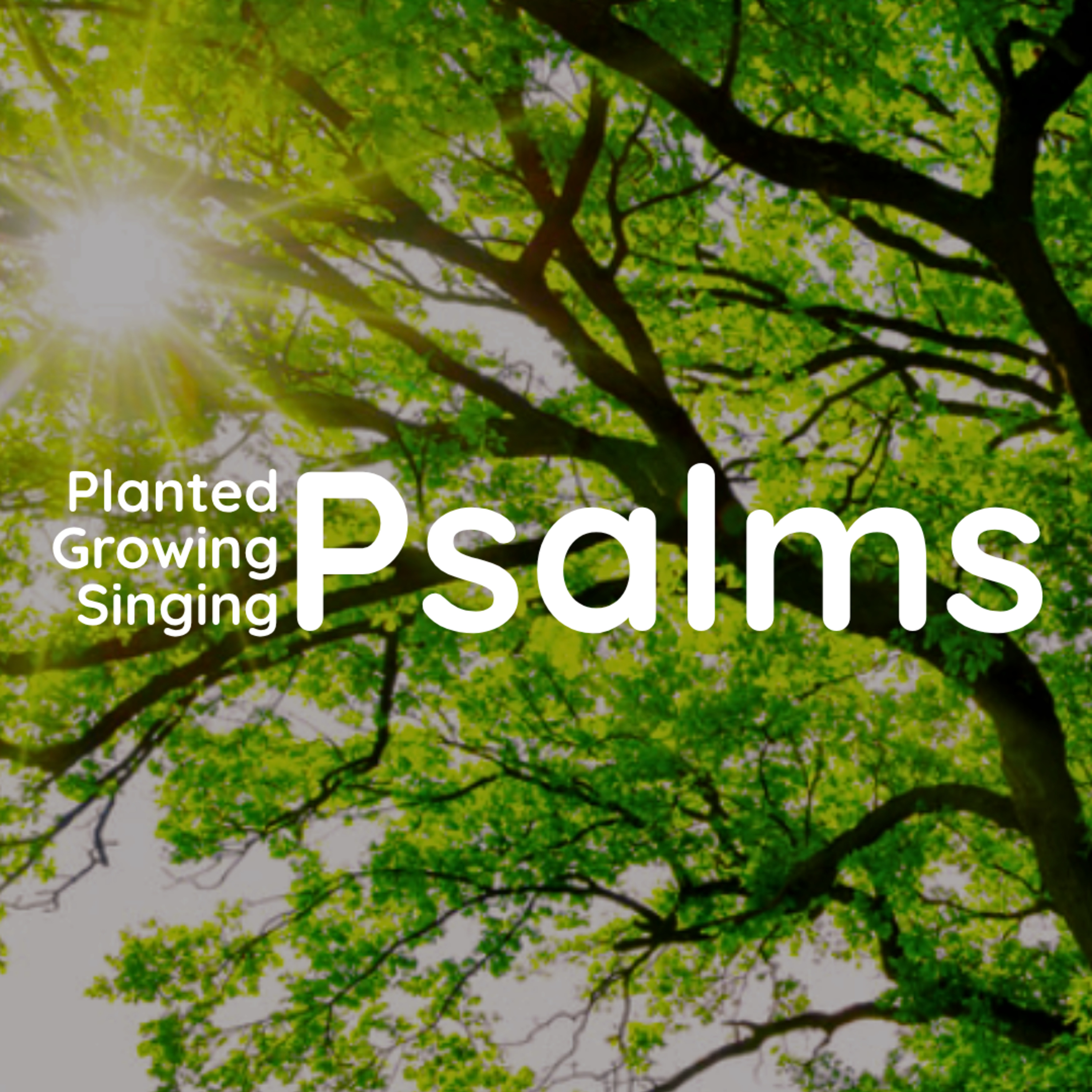 Unwavering | Psalm 16 | Richard McConnell episode artwork