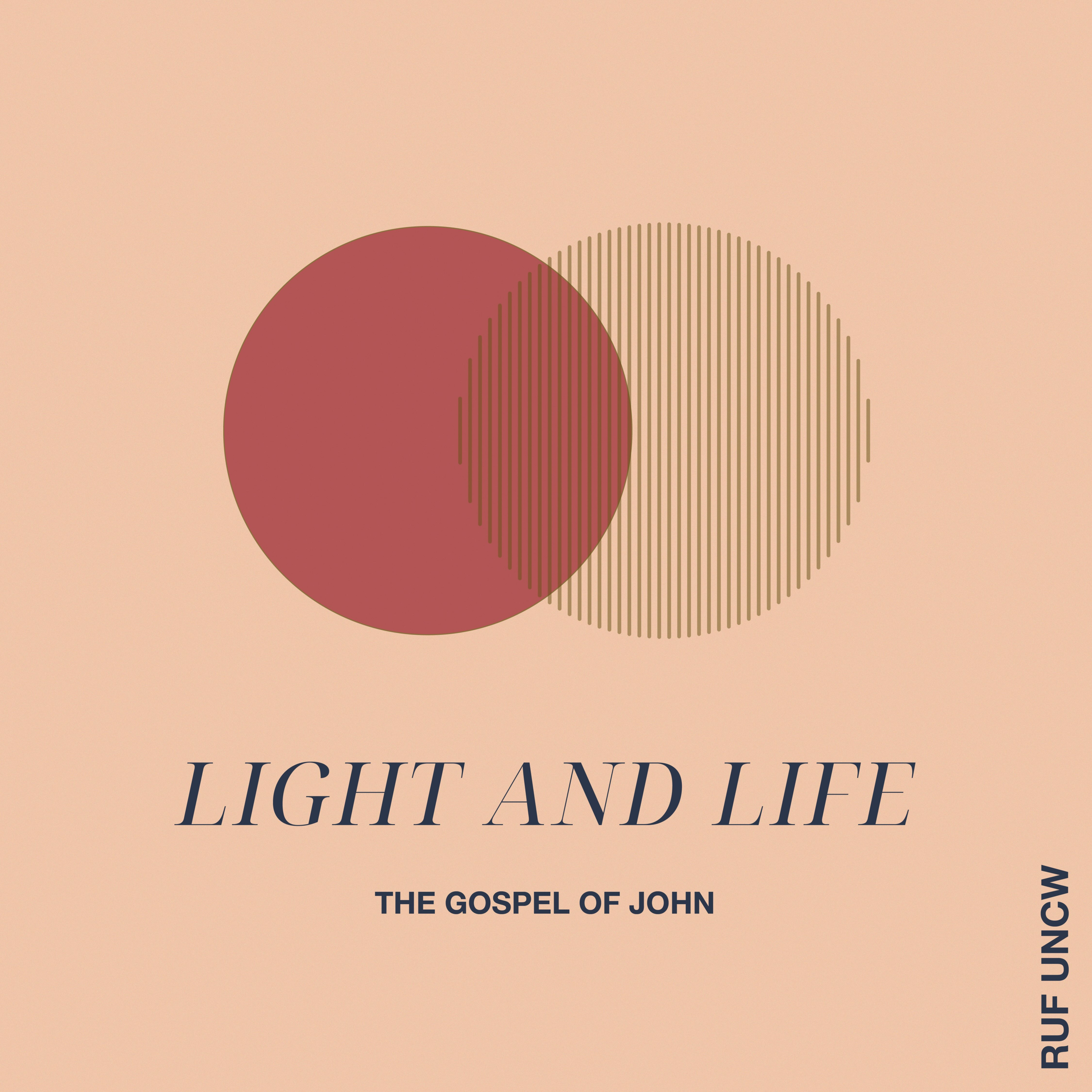 "Taking Jesus at His Word" (John 4:43-54) episode artwork