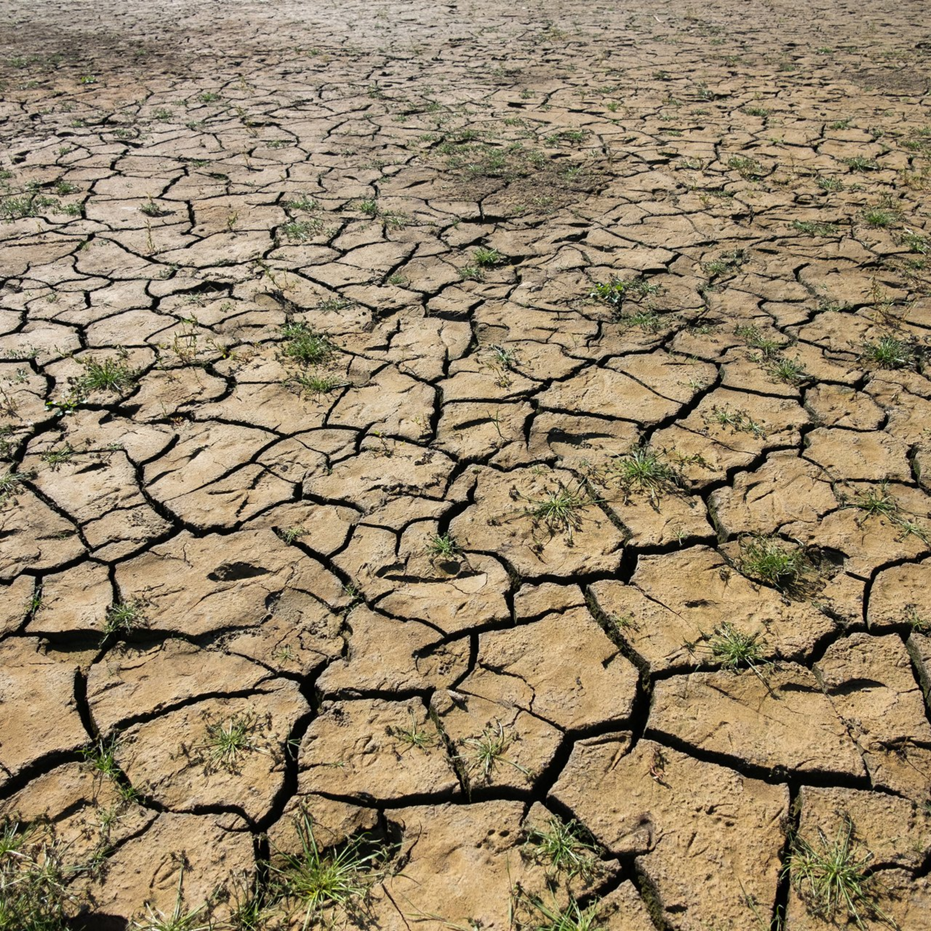 Fyzice je jedno, že pro Motoristy klimatická krize skončila. Sucho není liberální ani konzervativní