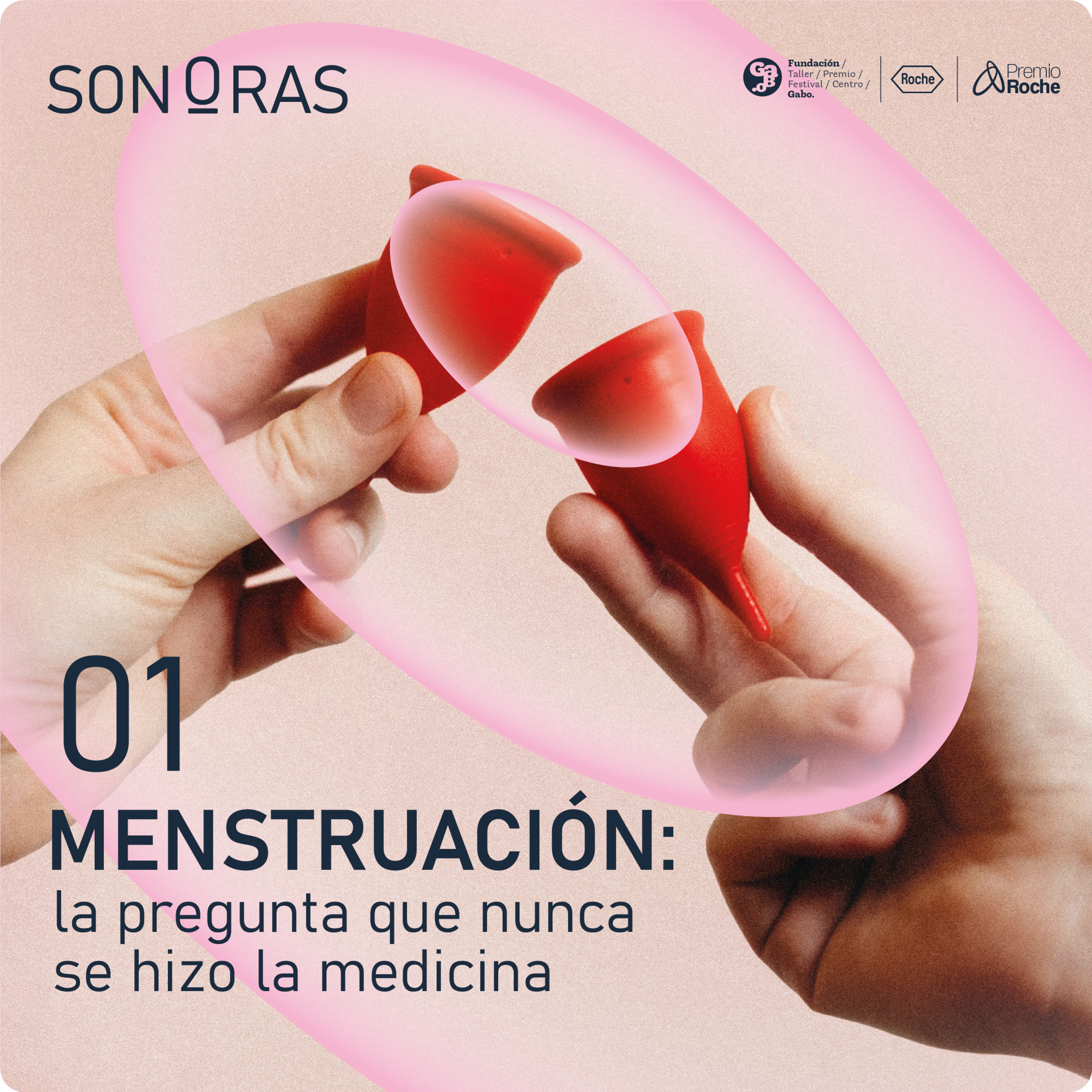 Capítulo 1 - Menstruación