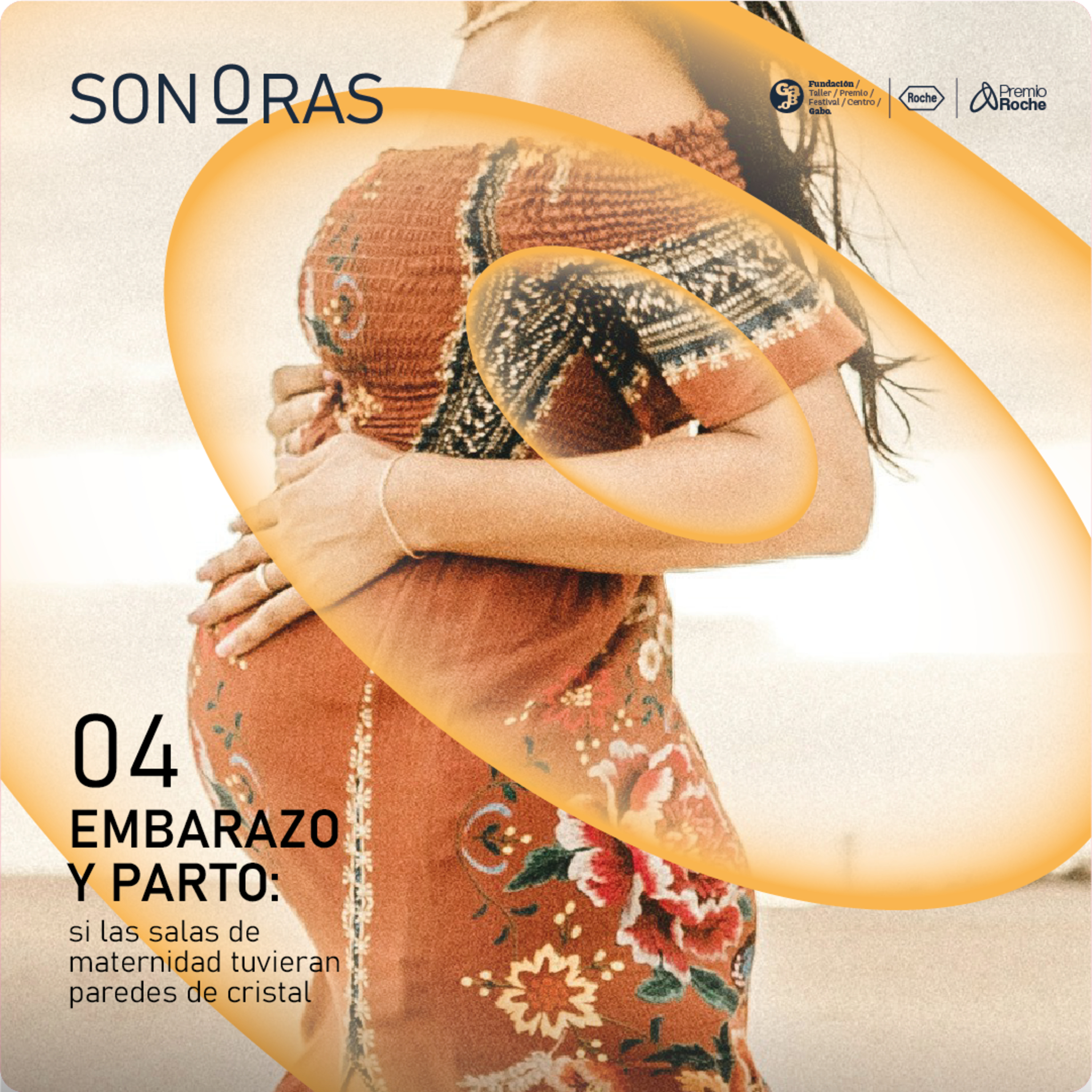 Capítulo 4: Embarazo y parto: si las salas de maternidad tuvieran paredes de cristal