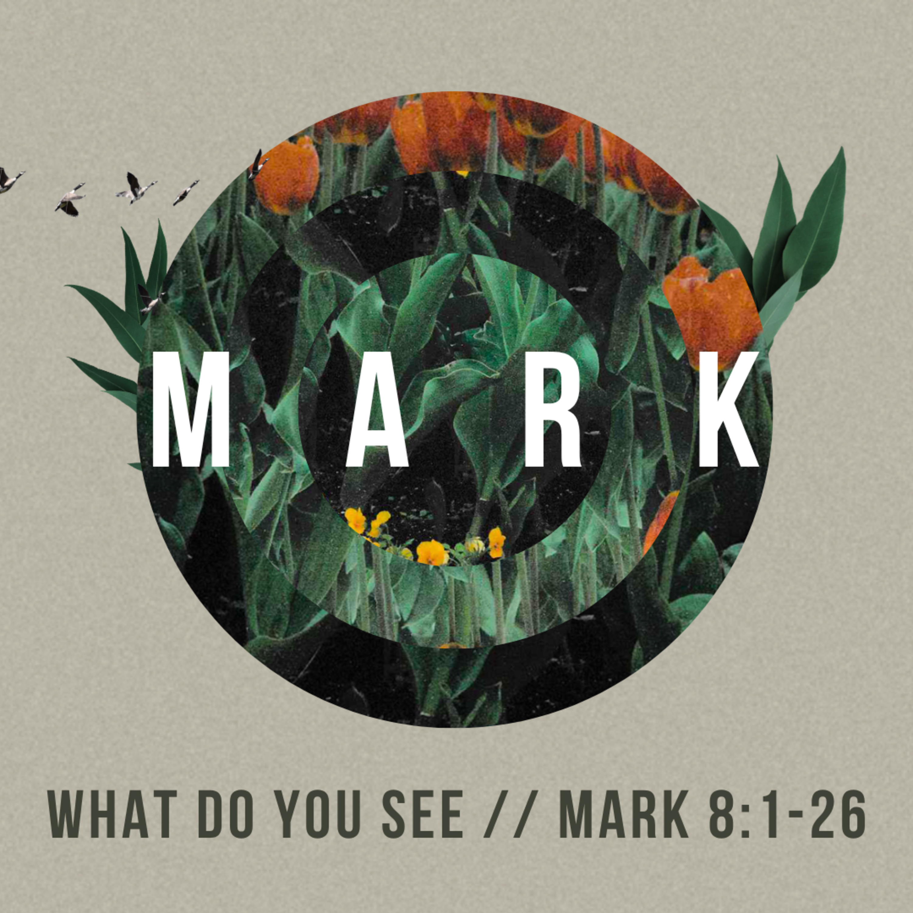 What Do You See // Mark 8:1-26 // Pastor Tyler Helms episode artwork