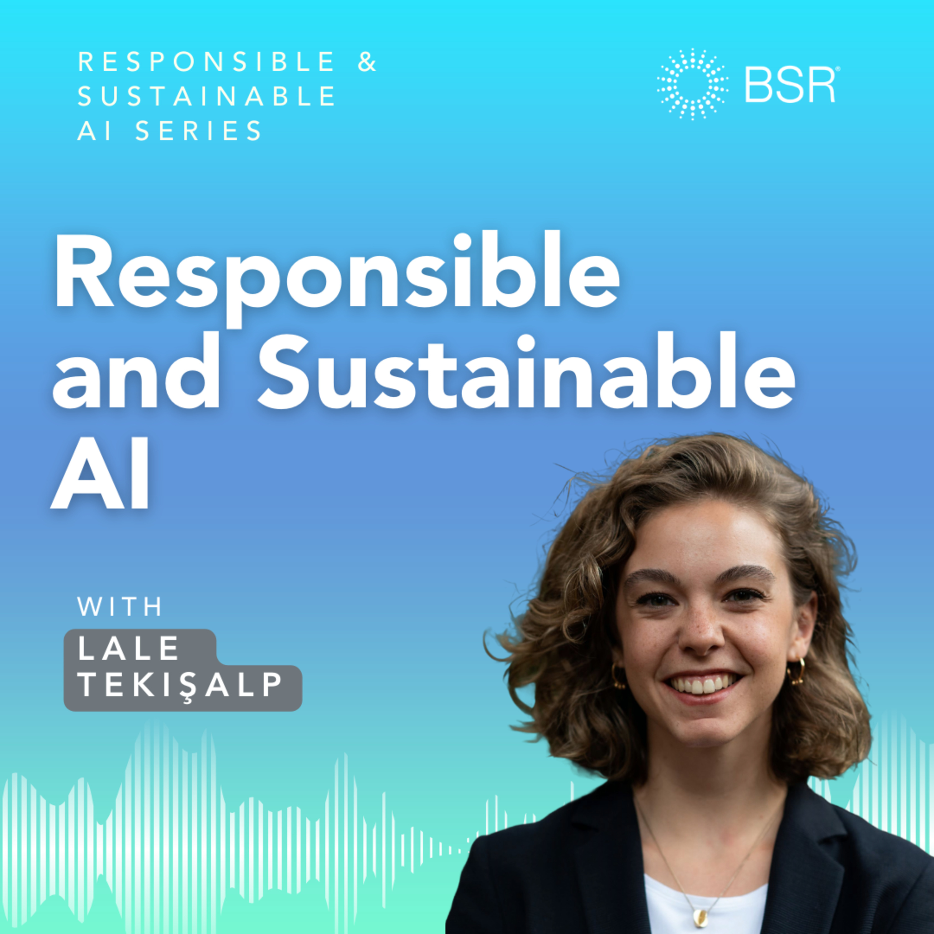 Responsible and Sustainable AI episode artwork