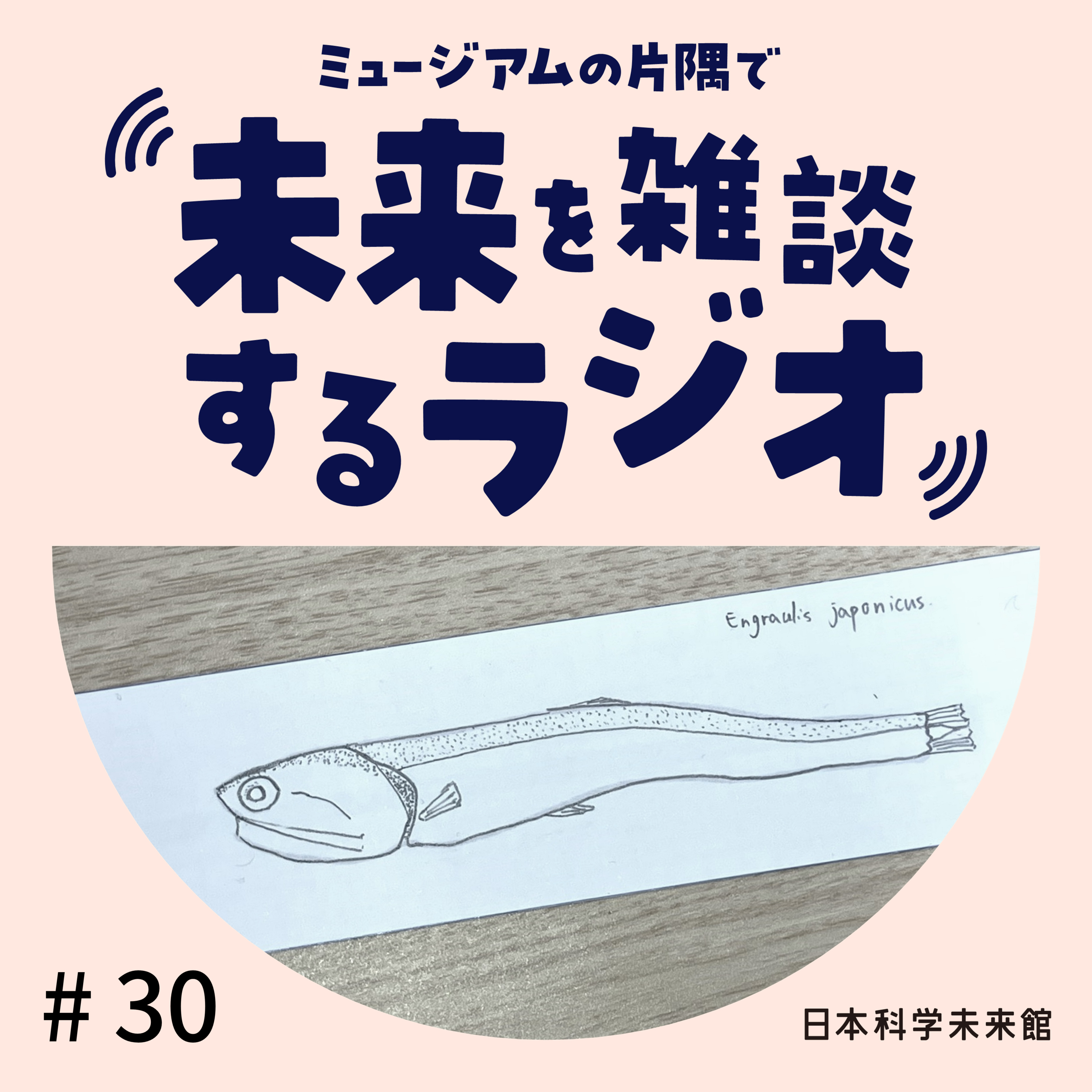 #30 科学の目で見て描いてみた!:ワークショップの振り返り編 episode artwork